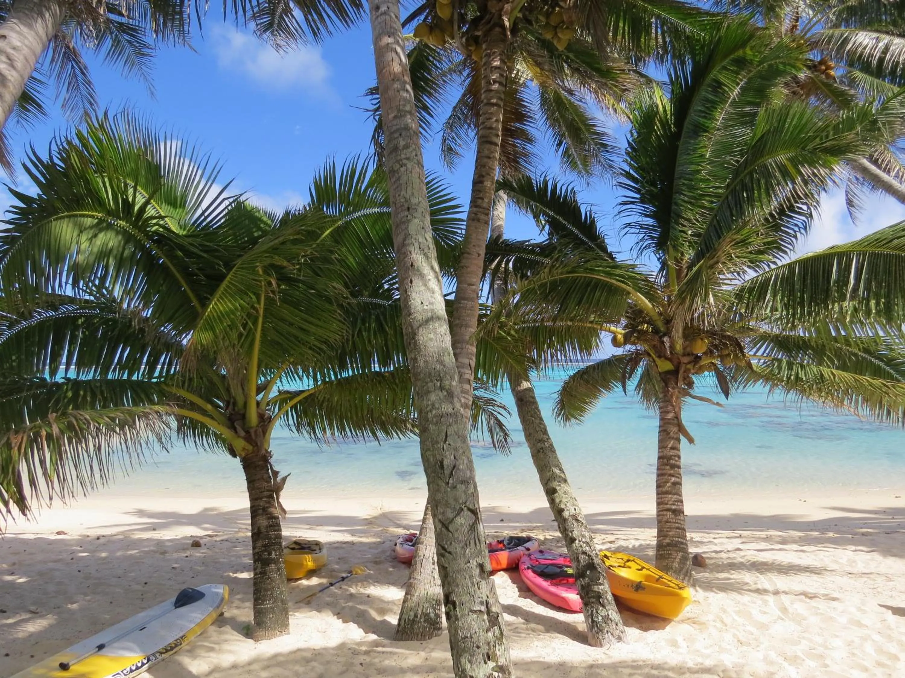 Beach in Little Polynesian Resort