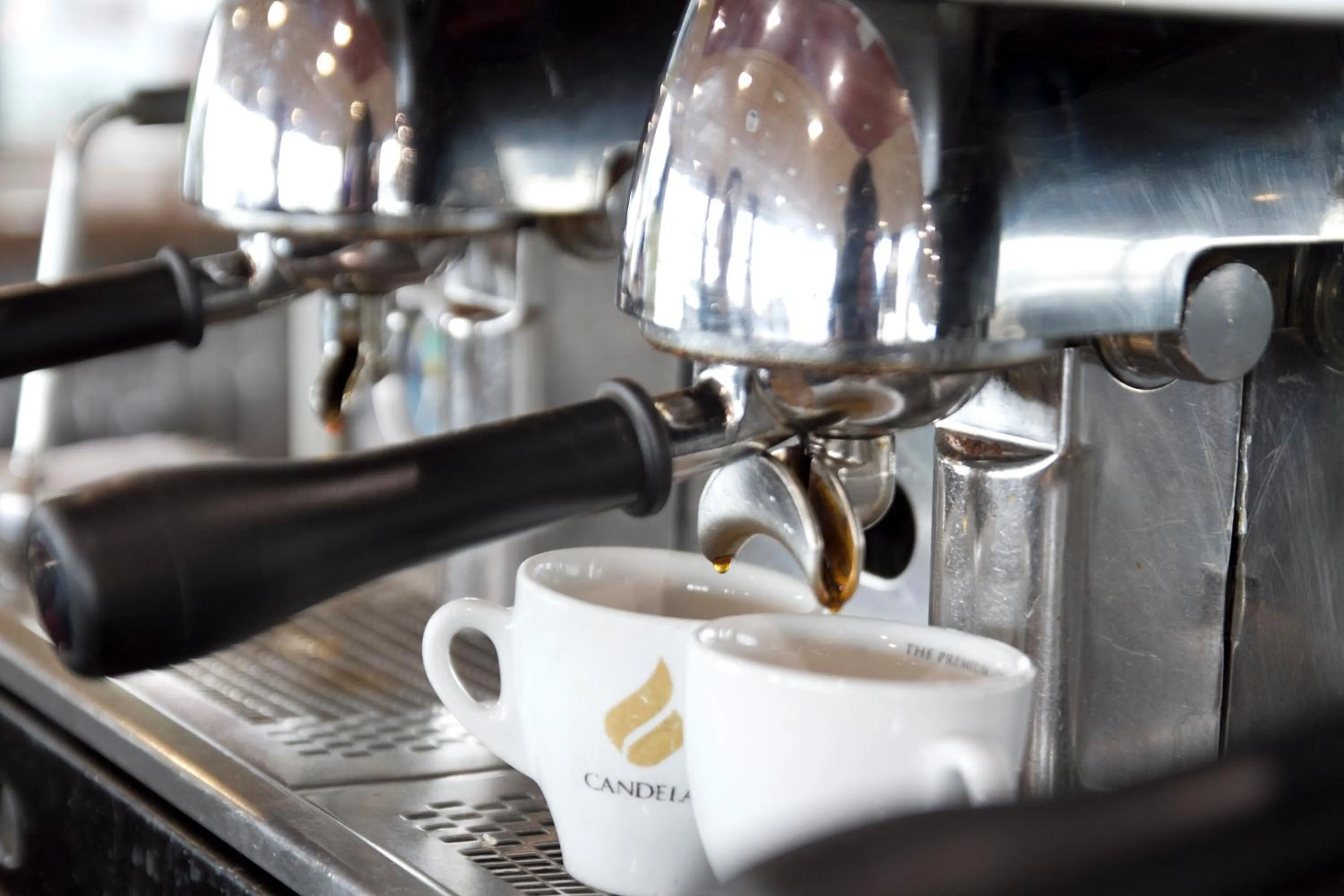 Restaurant/places to eat in Hotel Torques