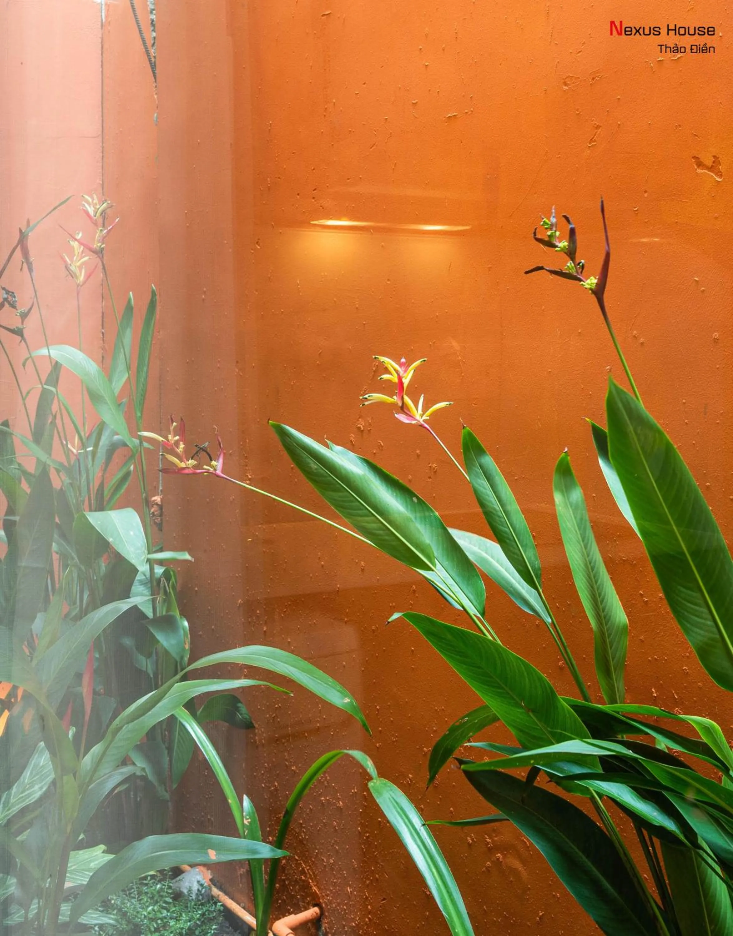 Day in Nexus House Garden Thao Dien