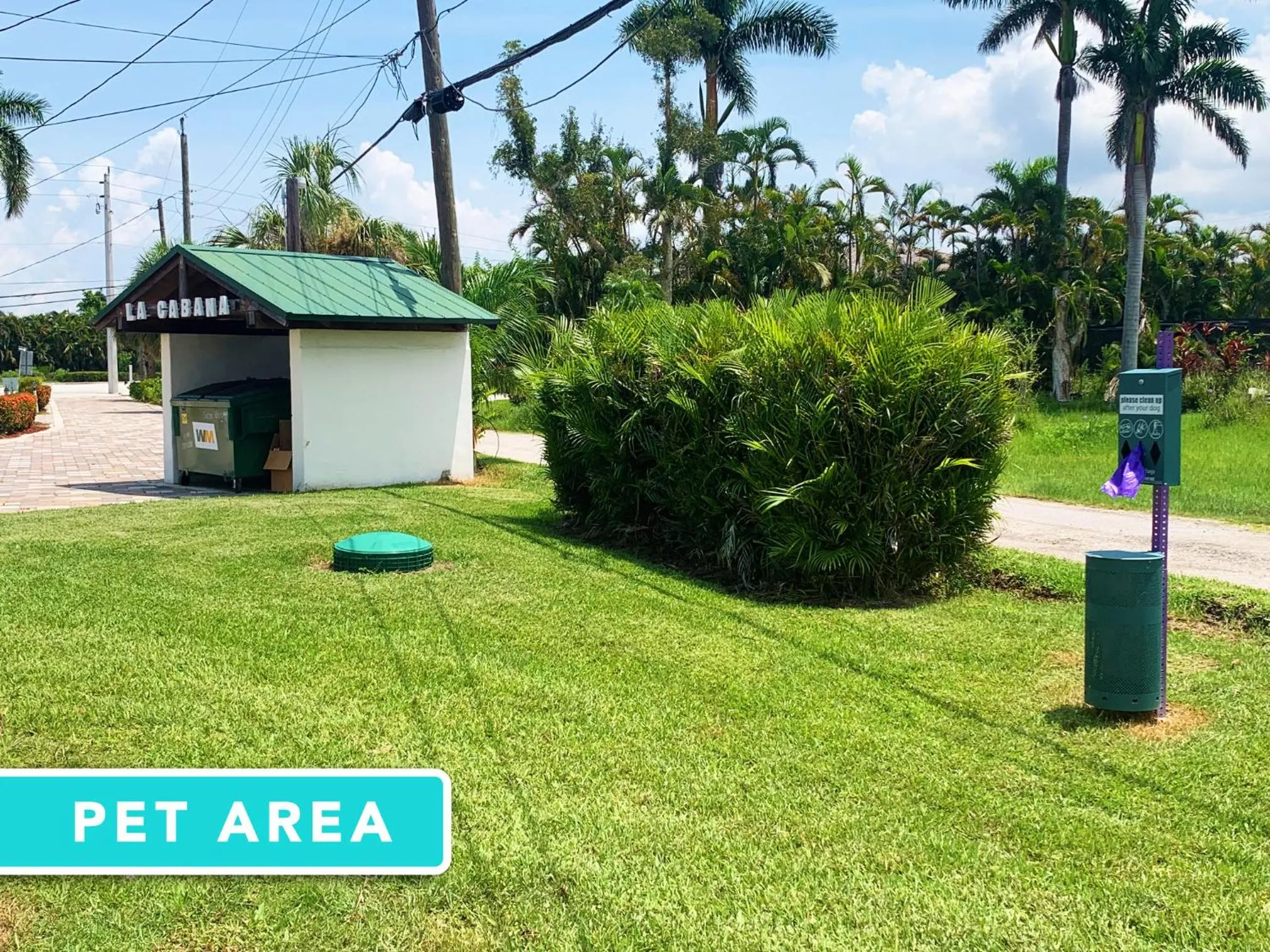 pet friendly in Cottage Bungalow Near Beach! King Bed with Pool & BBQ