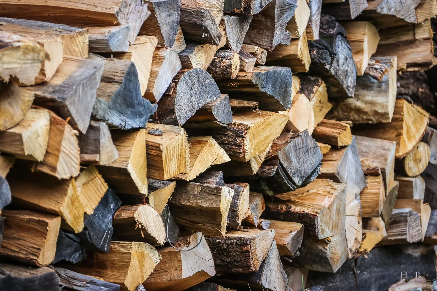 Property building in Le Chalet Hôtel Cordon Adults Only