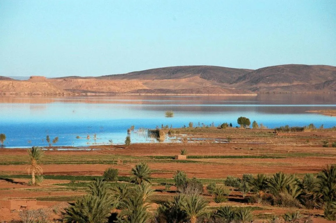 Area and facilities in Dar Bladi