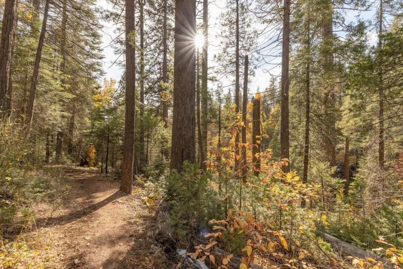 Red Rock Falls Cabin, 8 miles from Yosemite South Gate, with trailhead, Game Room and HotTub