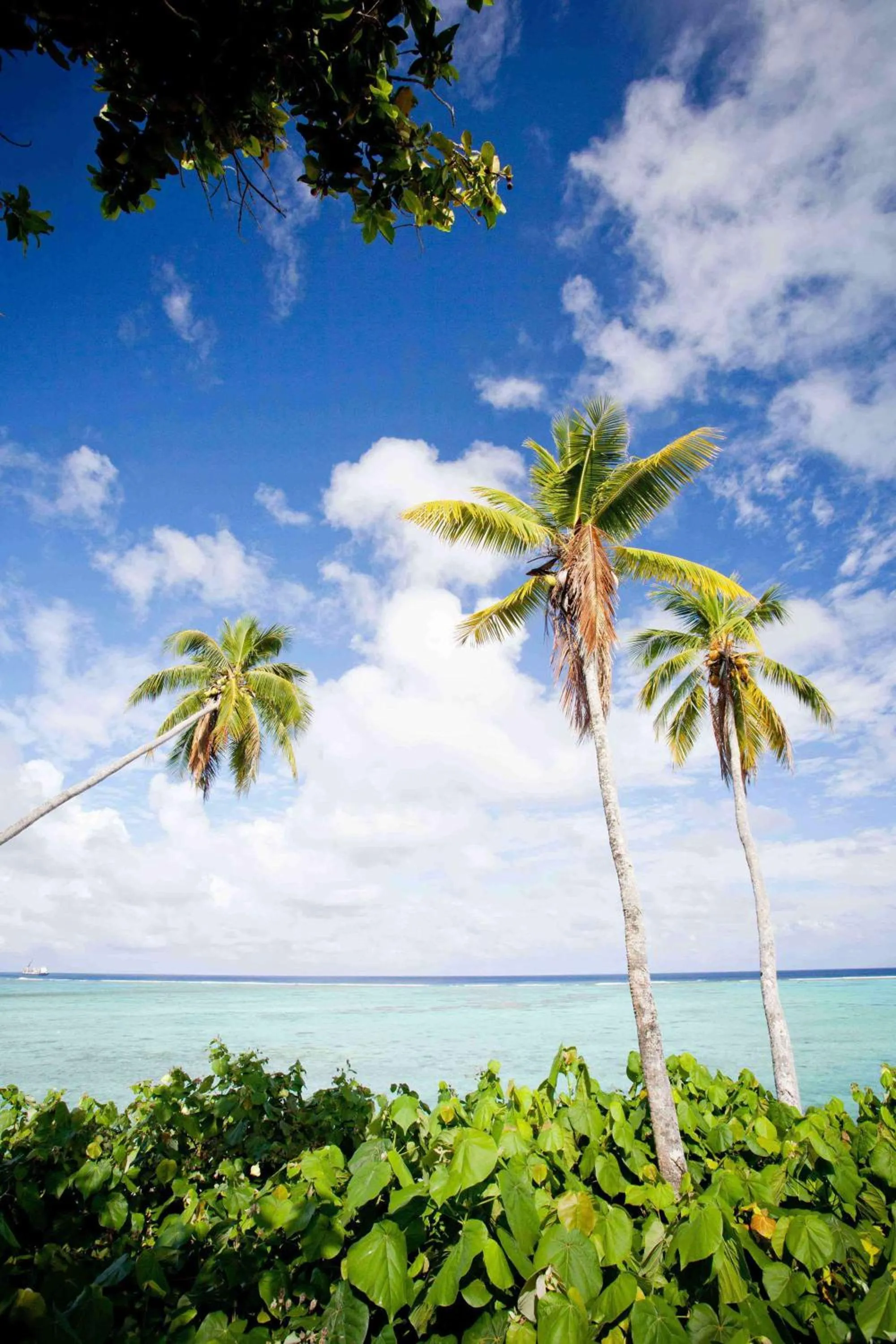 Natural landscape in Pacific Resort Aitutaki - Adults Only