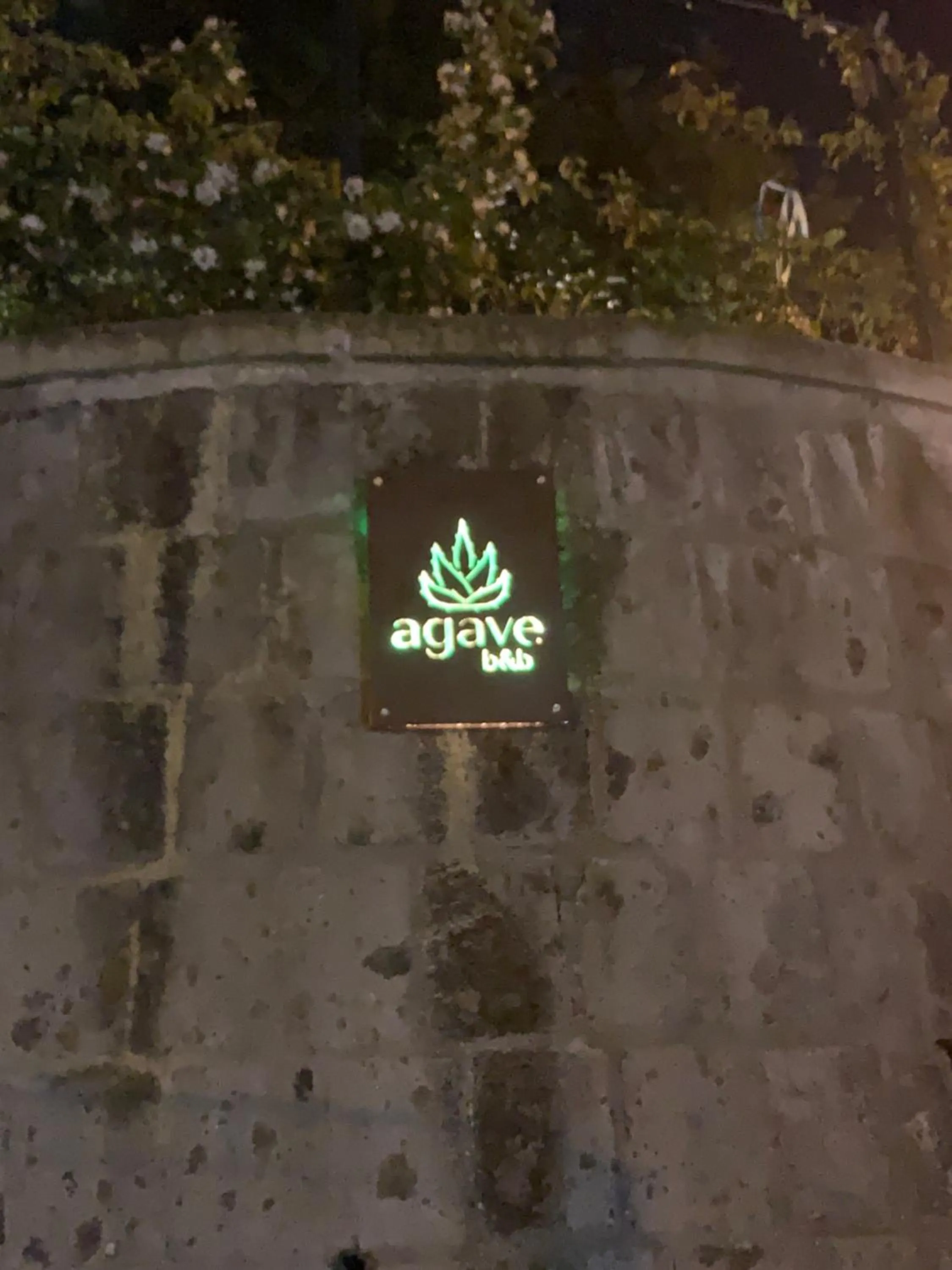 Night in AGAVE B&B