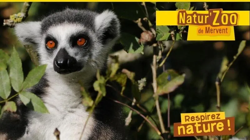 DOMAINE DE LA LUCARLIERE