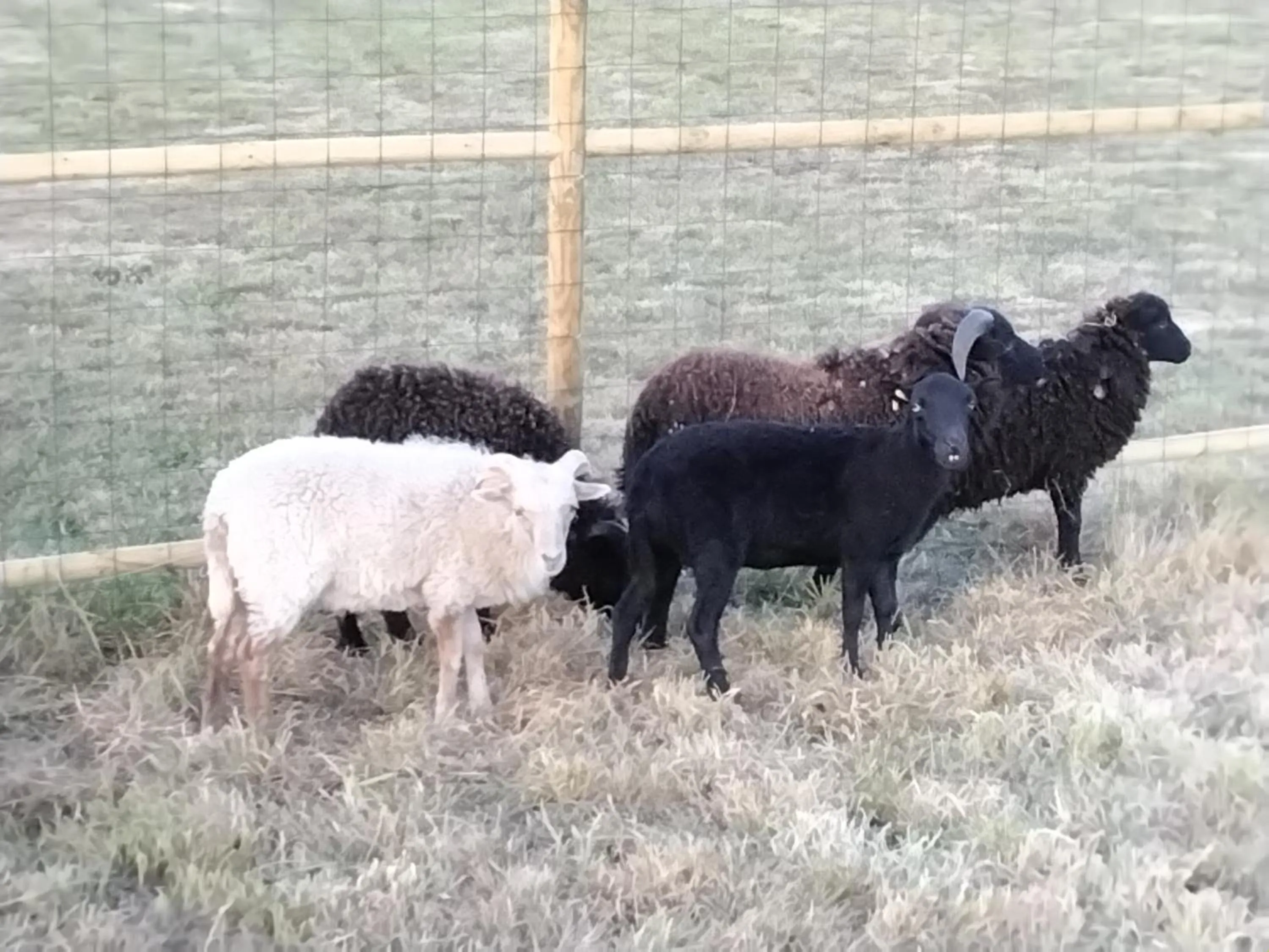 DOMAINE DE LA LUCARLIERE