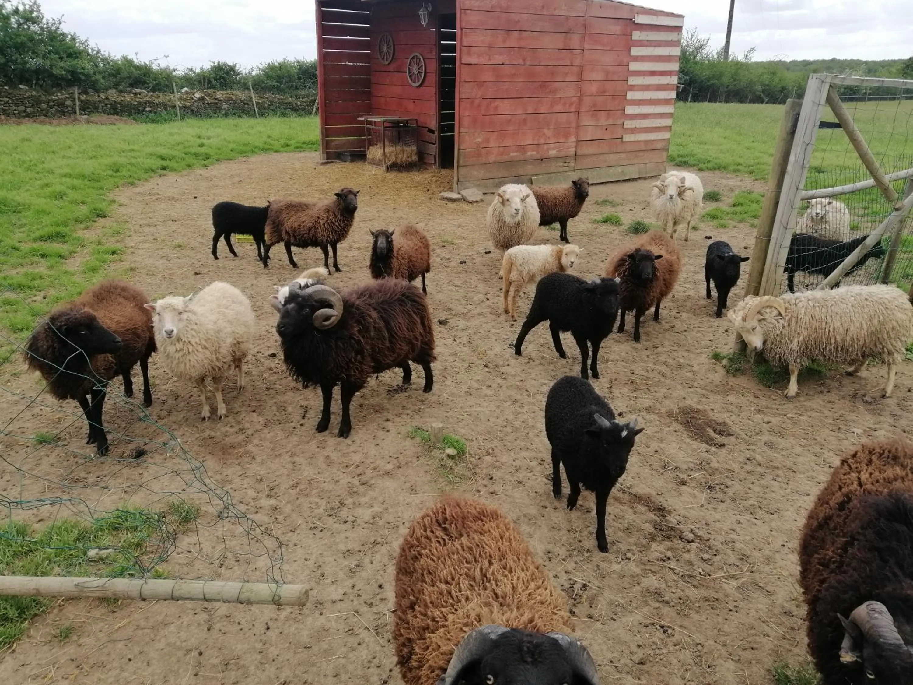 DOMAINE DE LA LUCARLIERE