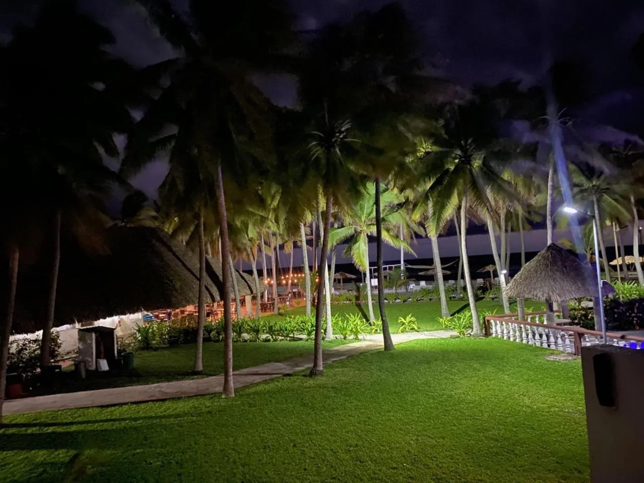 Garden in HOTEL TESORO BEACH