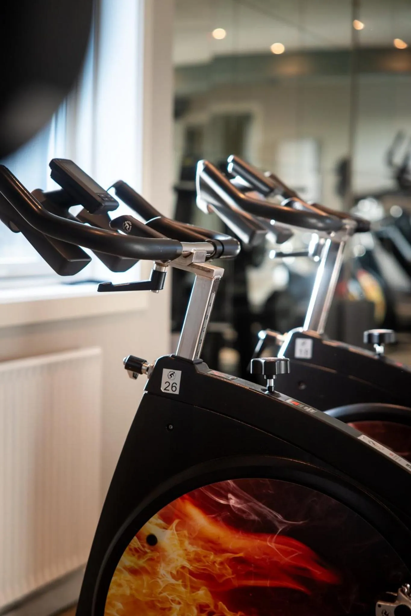 Fitness centre/facilities in Hotel Djurhuus