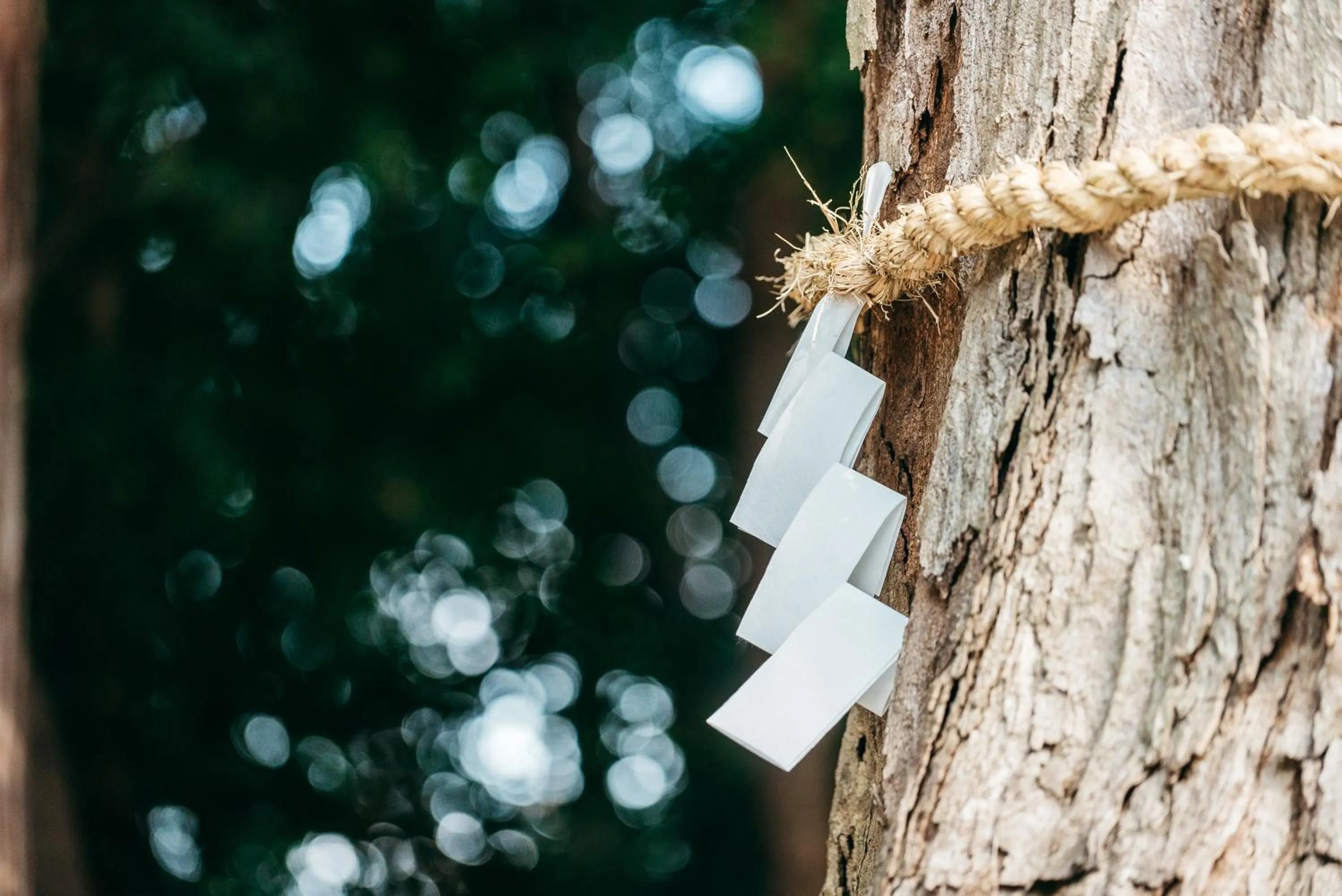Nearby landmark in RITA Gosemachi
