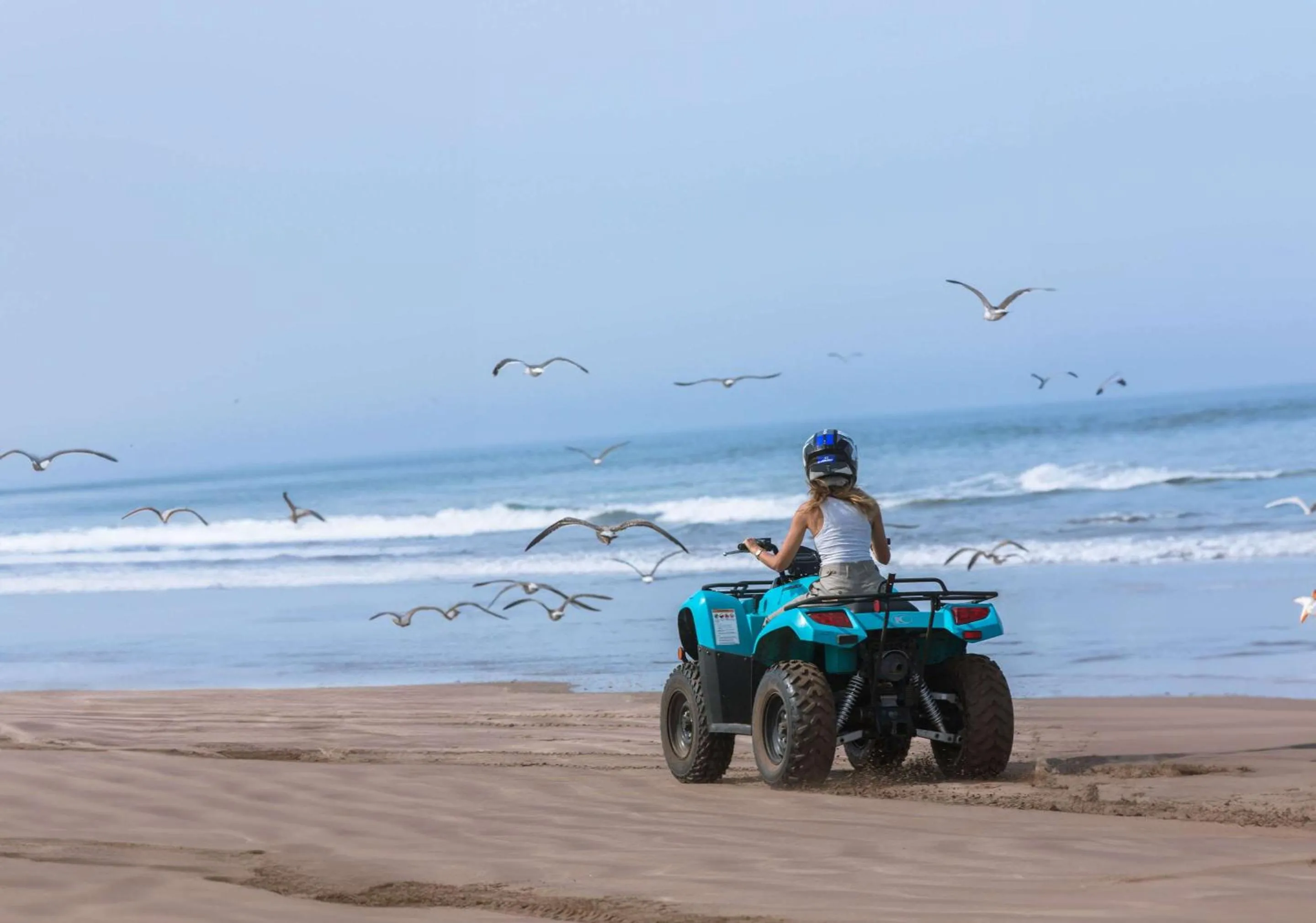 Beach in Mazagan Beach & Golf Resort