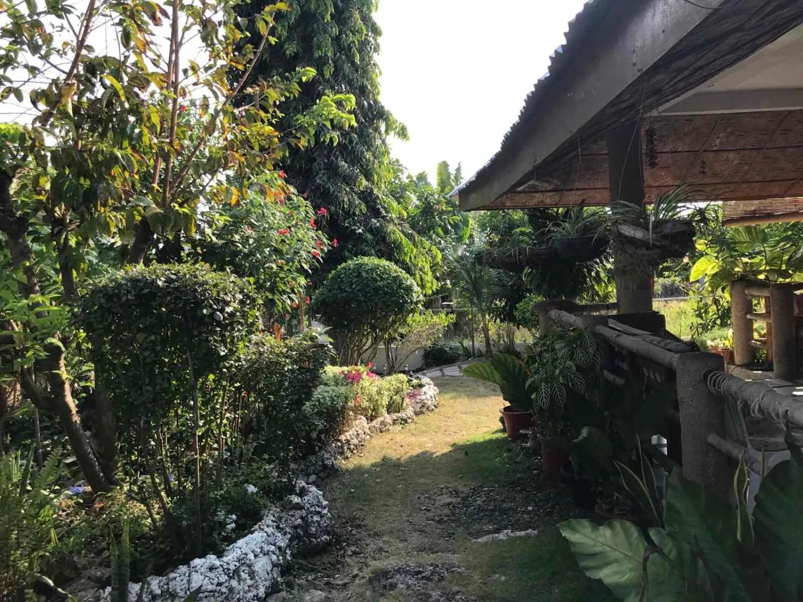 View (from property/room) in Gerty's Tourist Inn powered by Cocotel