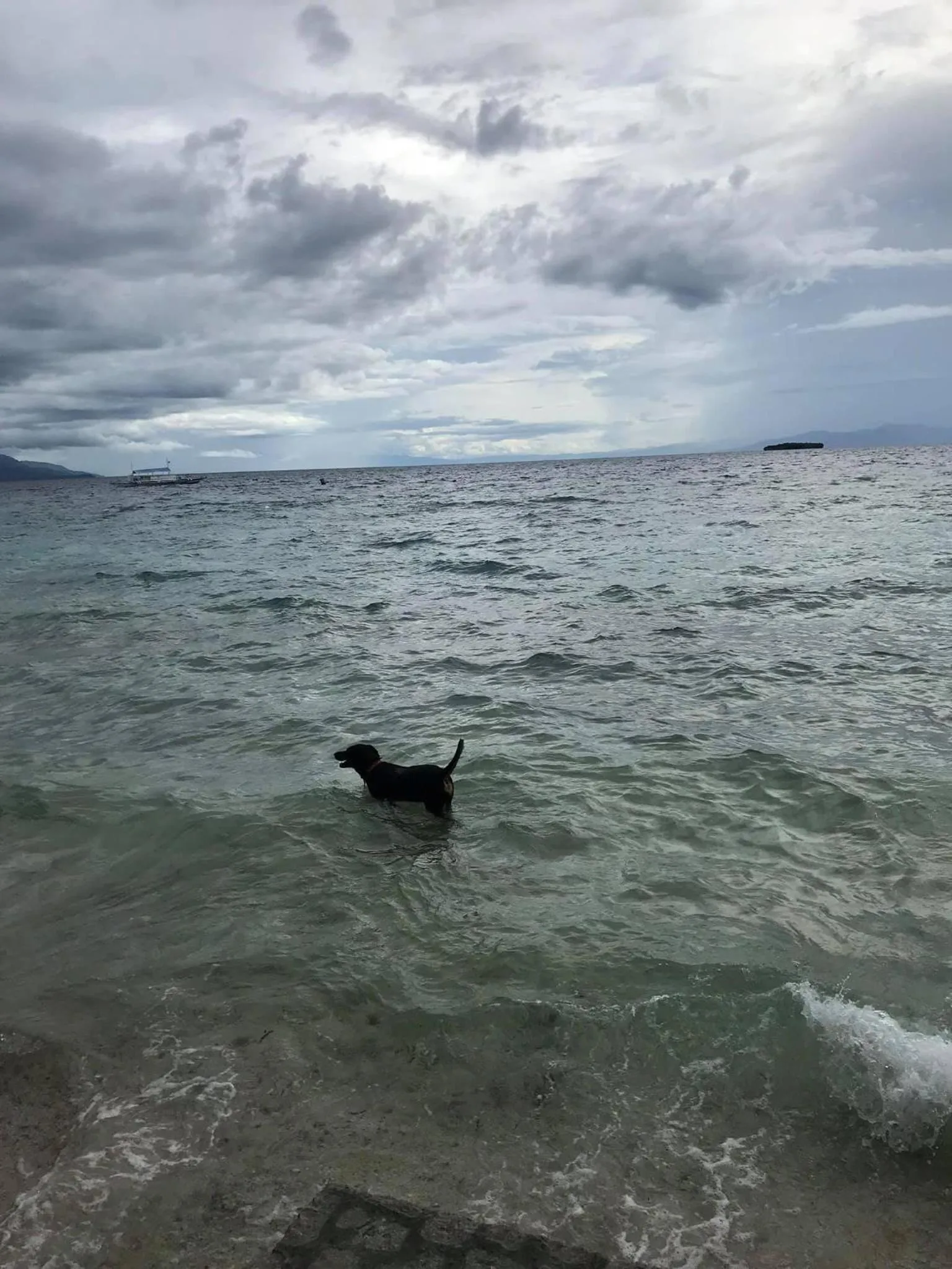Beach in Gerty's Tourist Inn powered by Cocotel