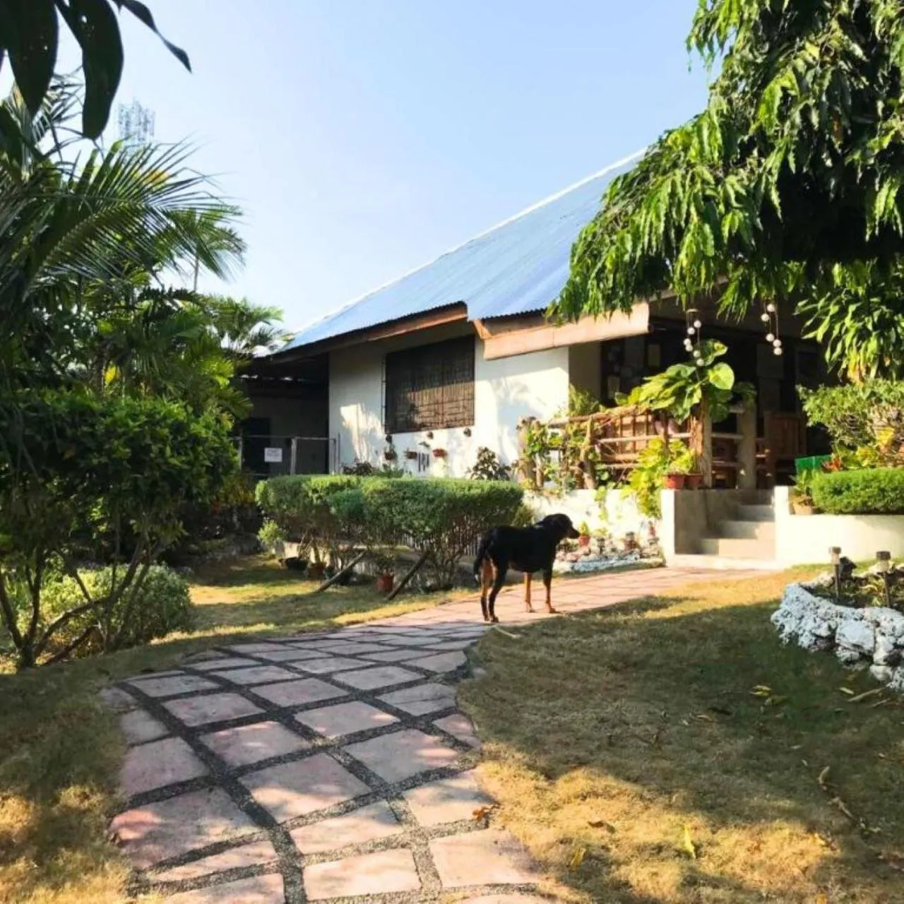 Property building in Gerty's Tourist Inn powered by Cocotel