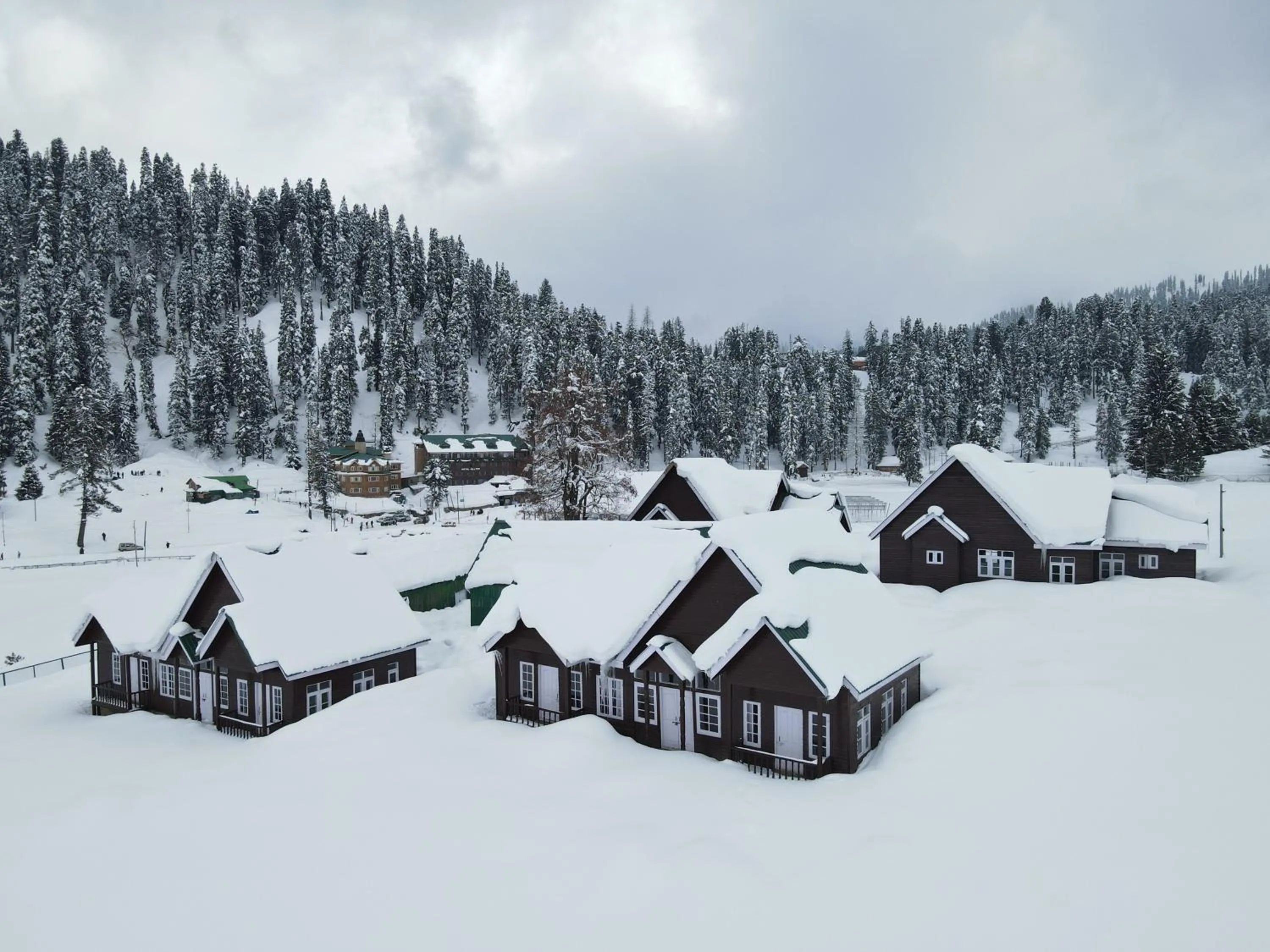 Winter in Gulmarg Woods By Stay Pattern