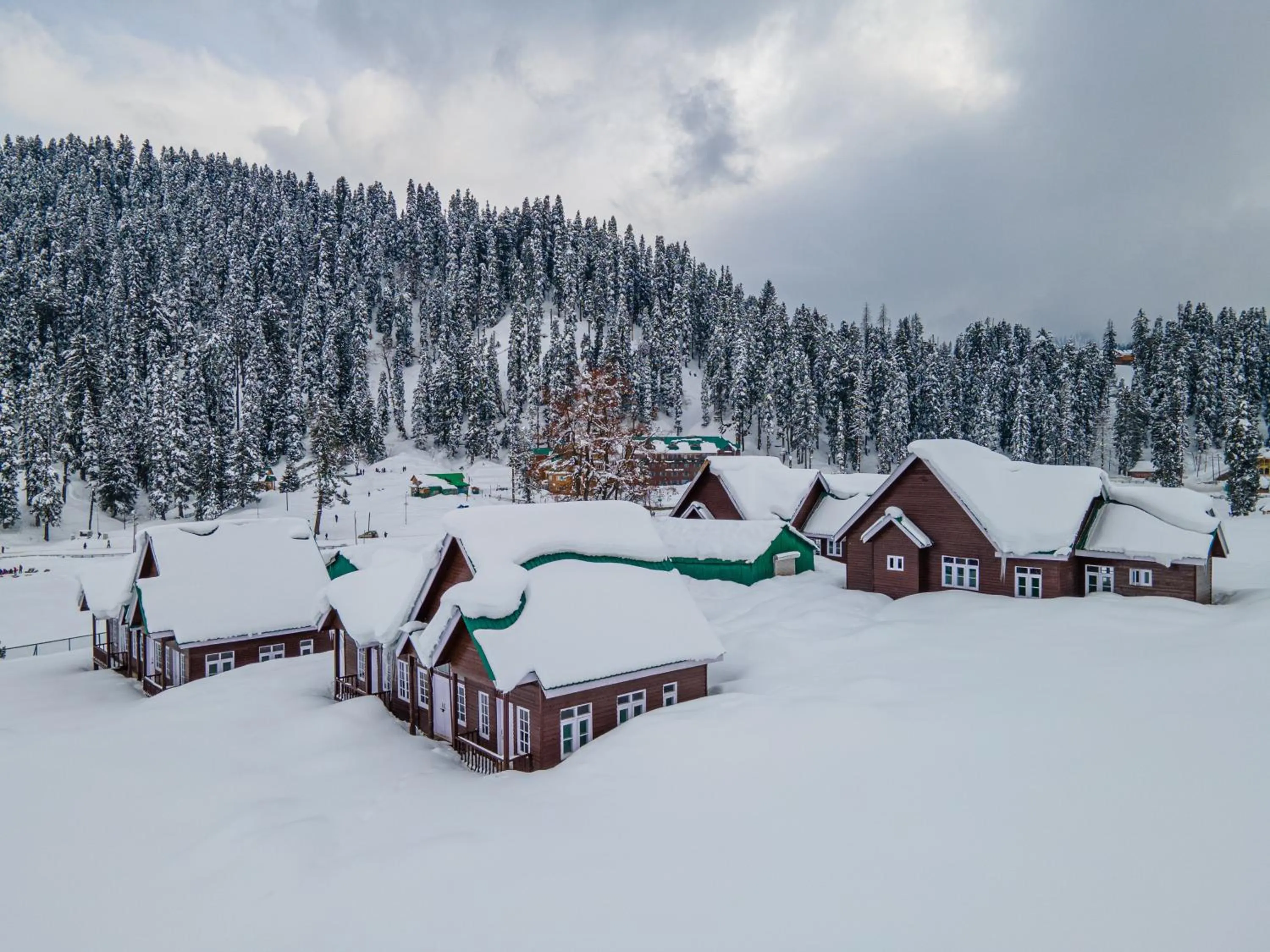 Natural landscape in Gulmarg Woods By Stay Pattern