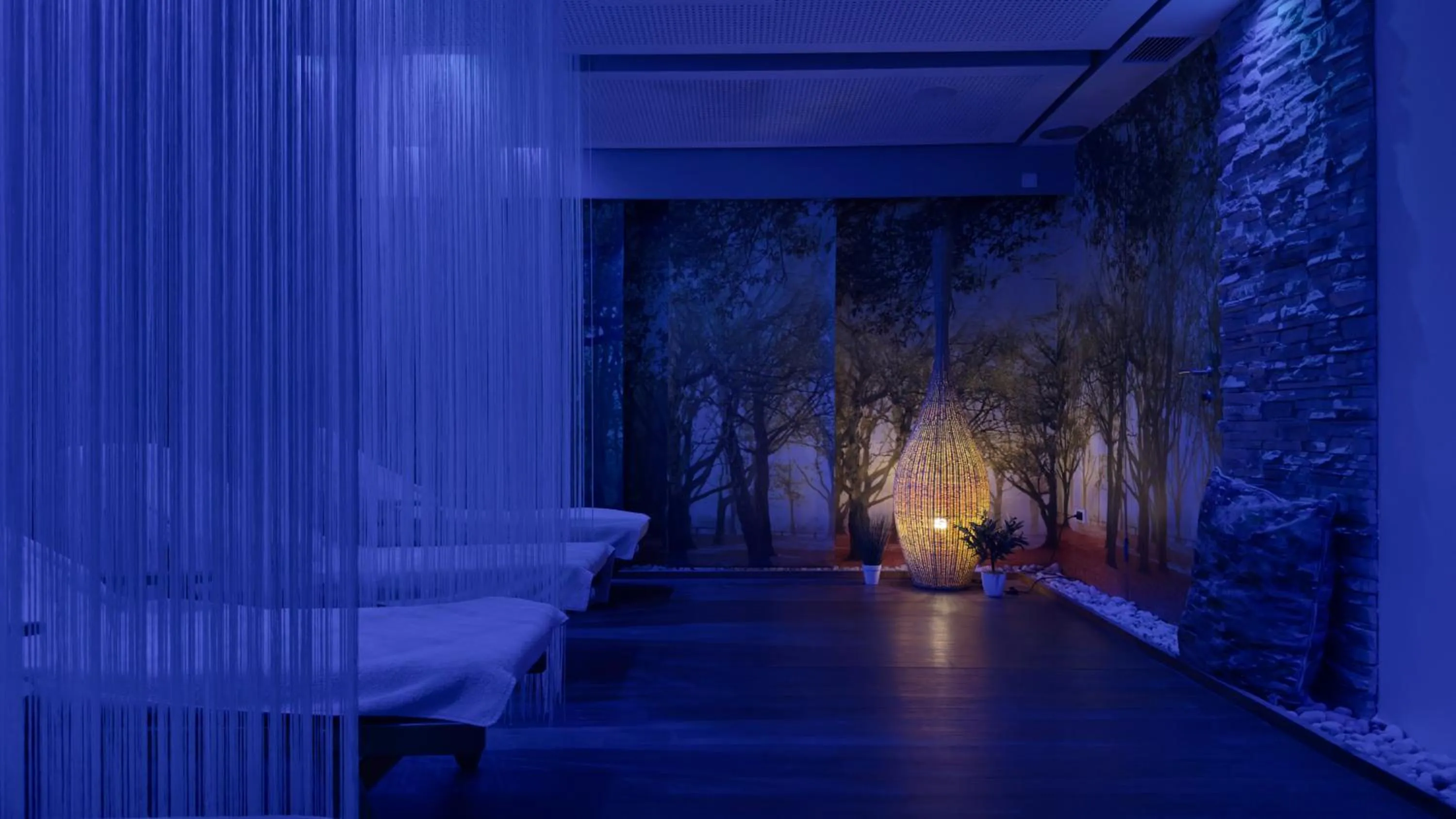 Spa and wellness centre/facilities in Hotel Central Sarajevo - Gym, Pool & Spa