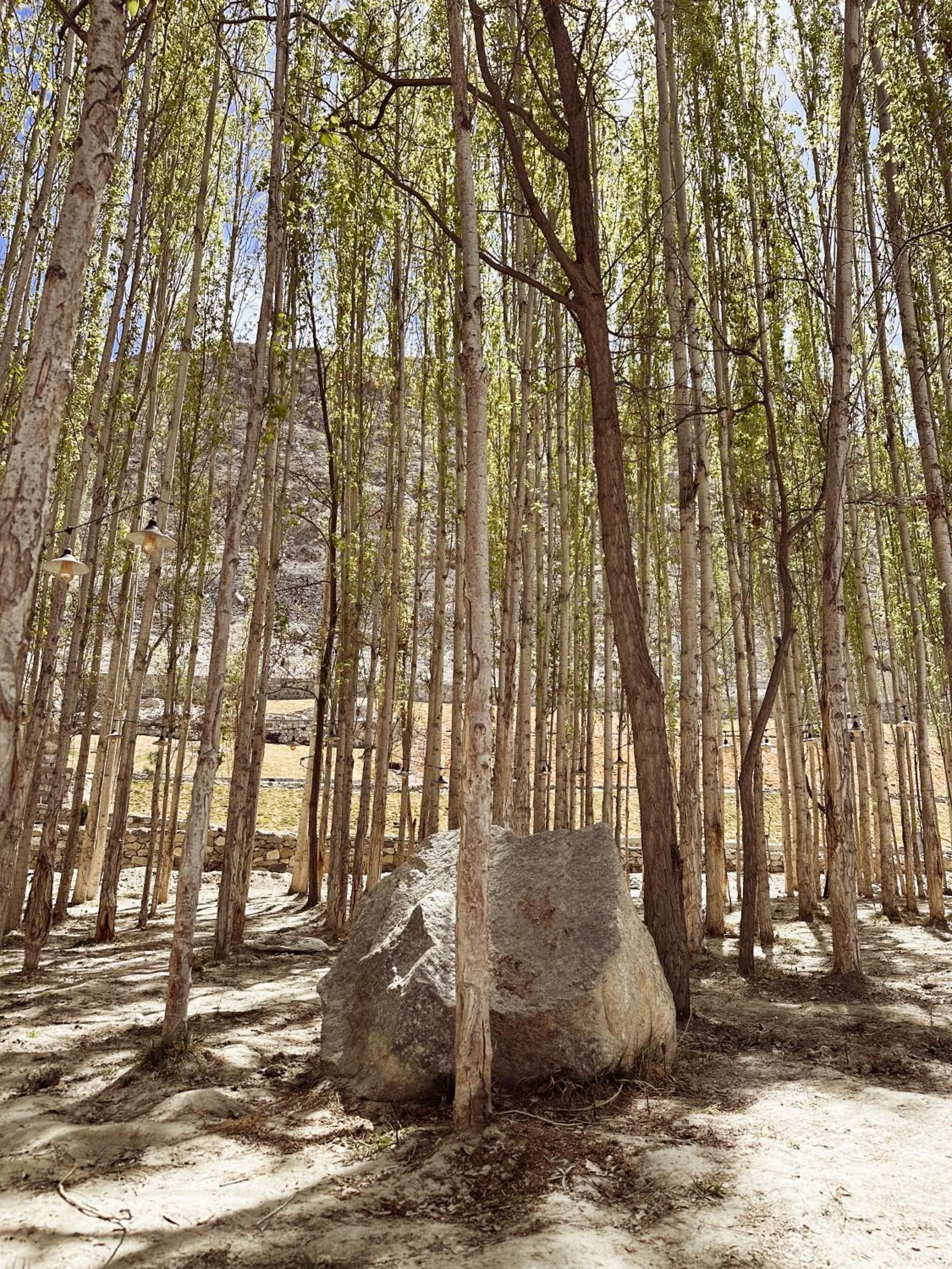 Nearby landmark in Khoj Resorts Shigar