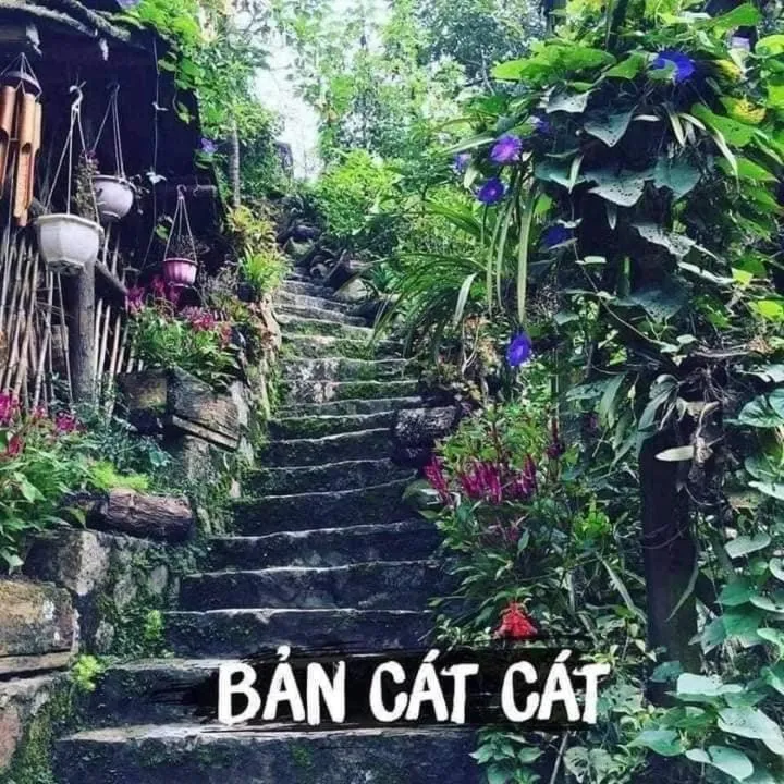 Day in Tiger Sapa hotel