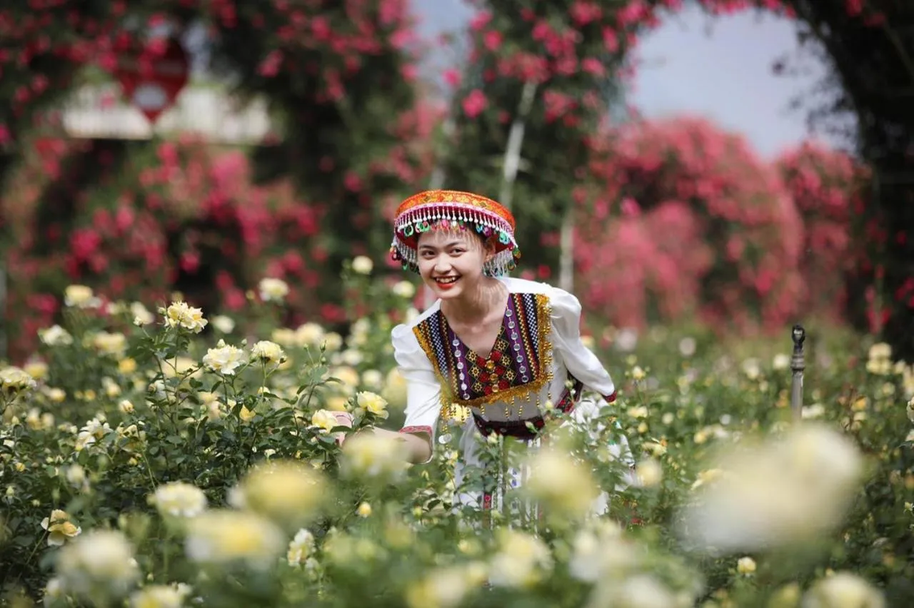 Spring in Tiger Sapa hotel