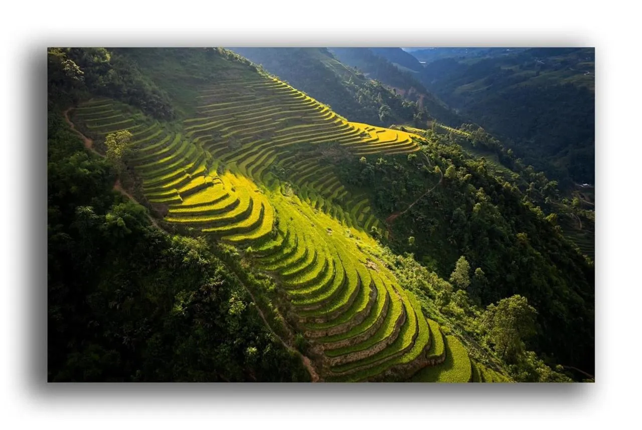 Day in Tiger Sapa hotel