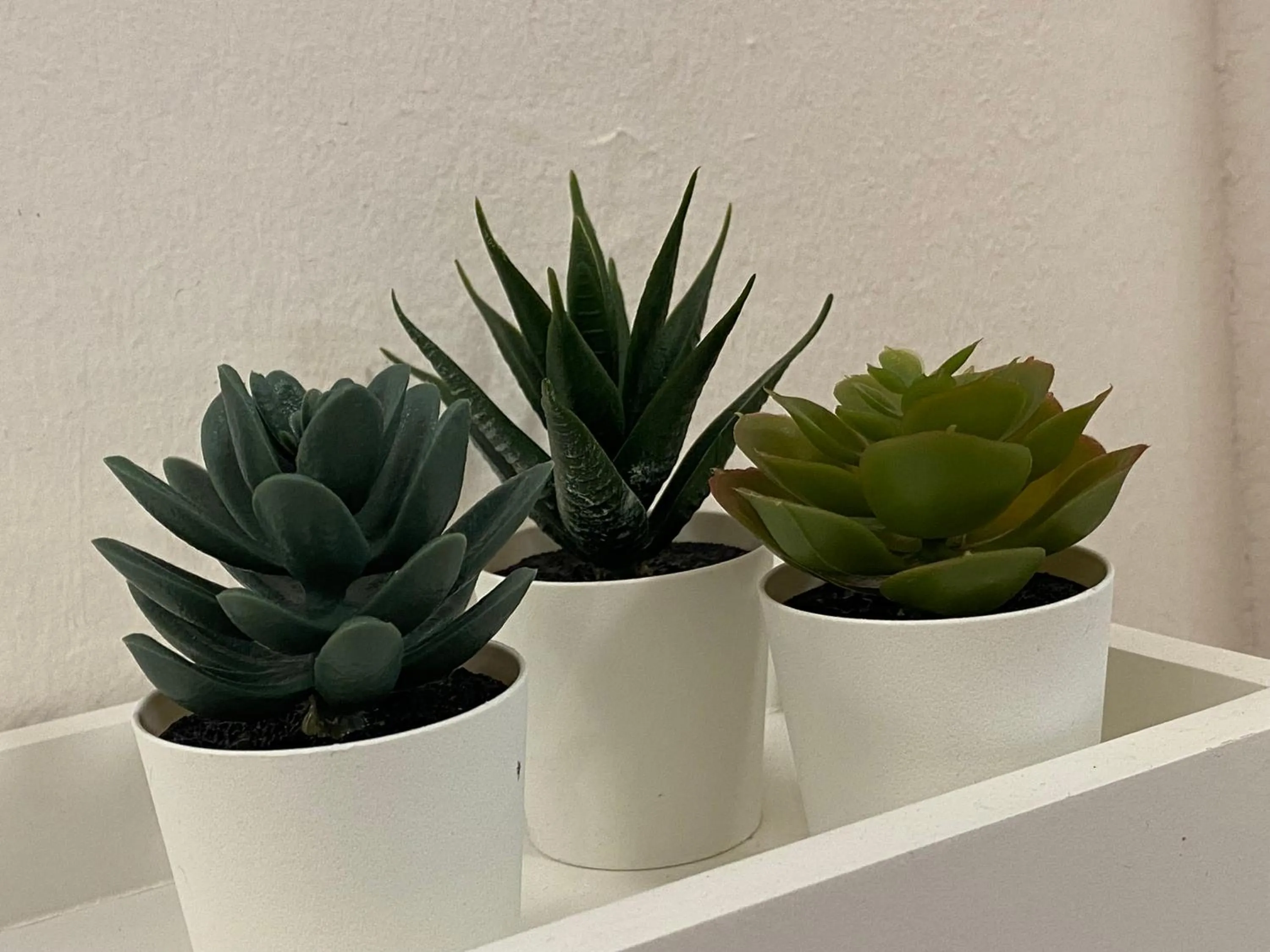 Decorative detail in Studio La Carihuela