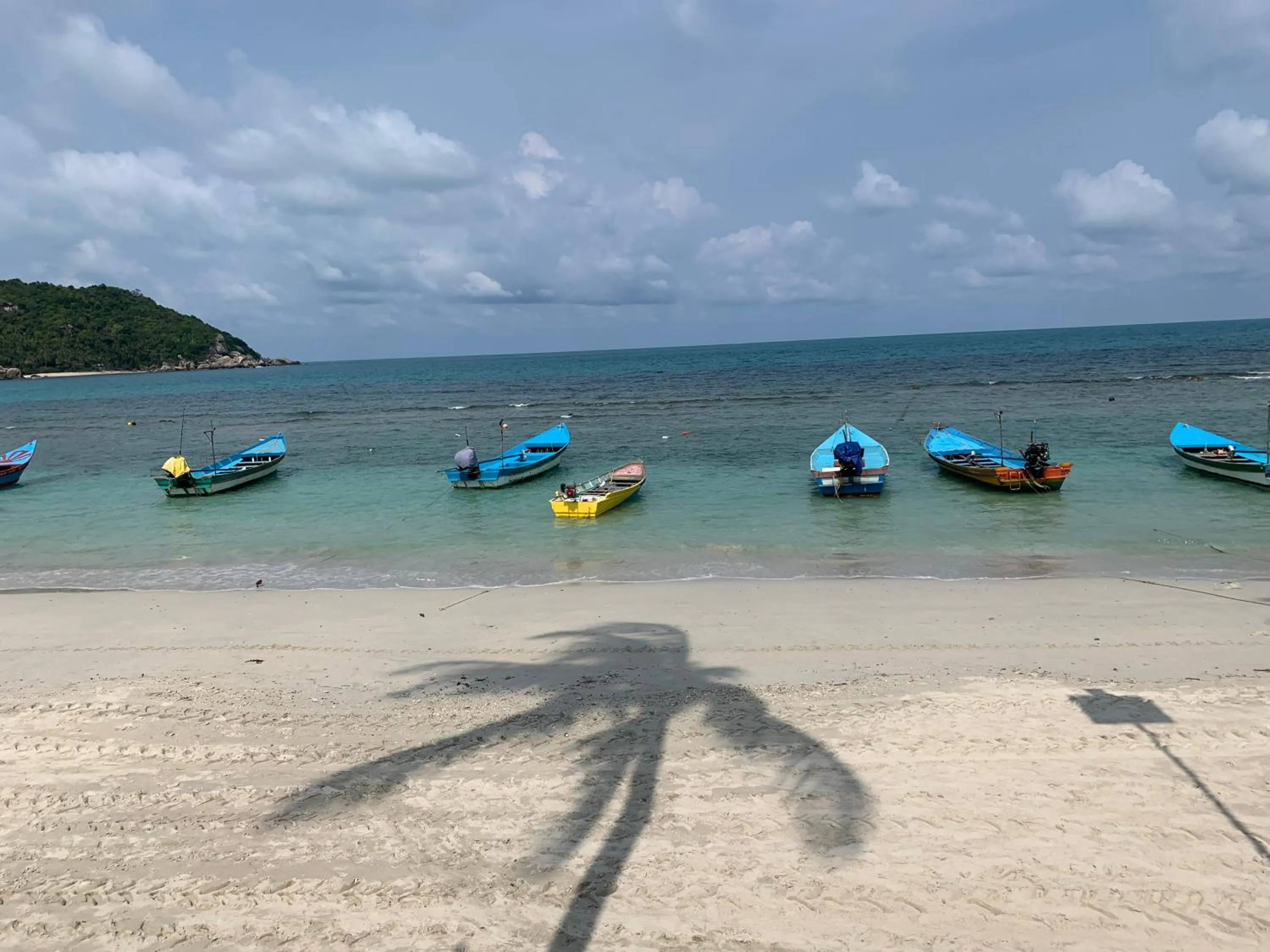 Property building in The Black Sheep Hostel