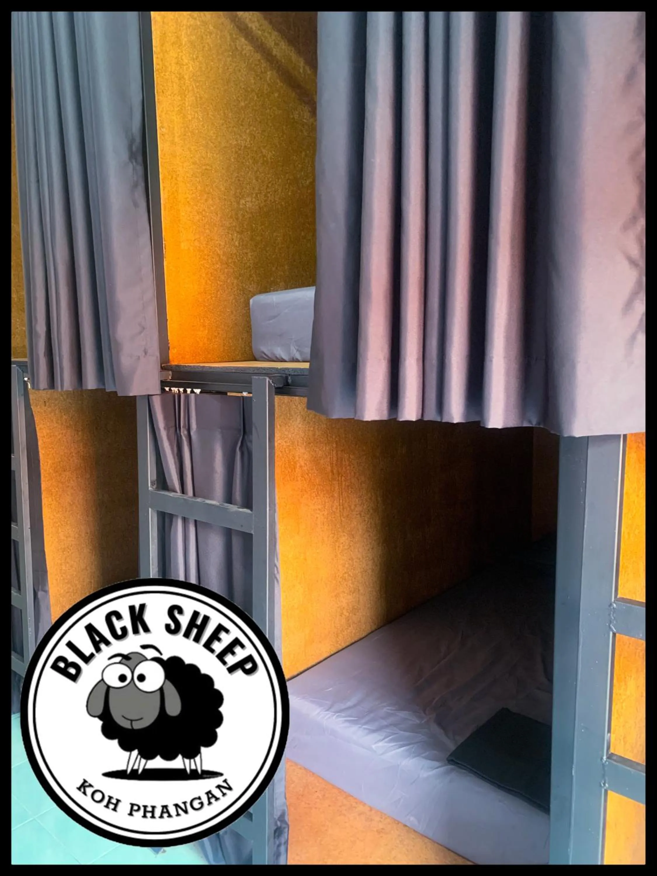 Bed in The Black Sheep Hostel