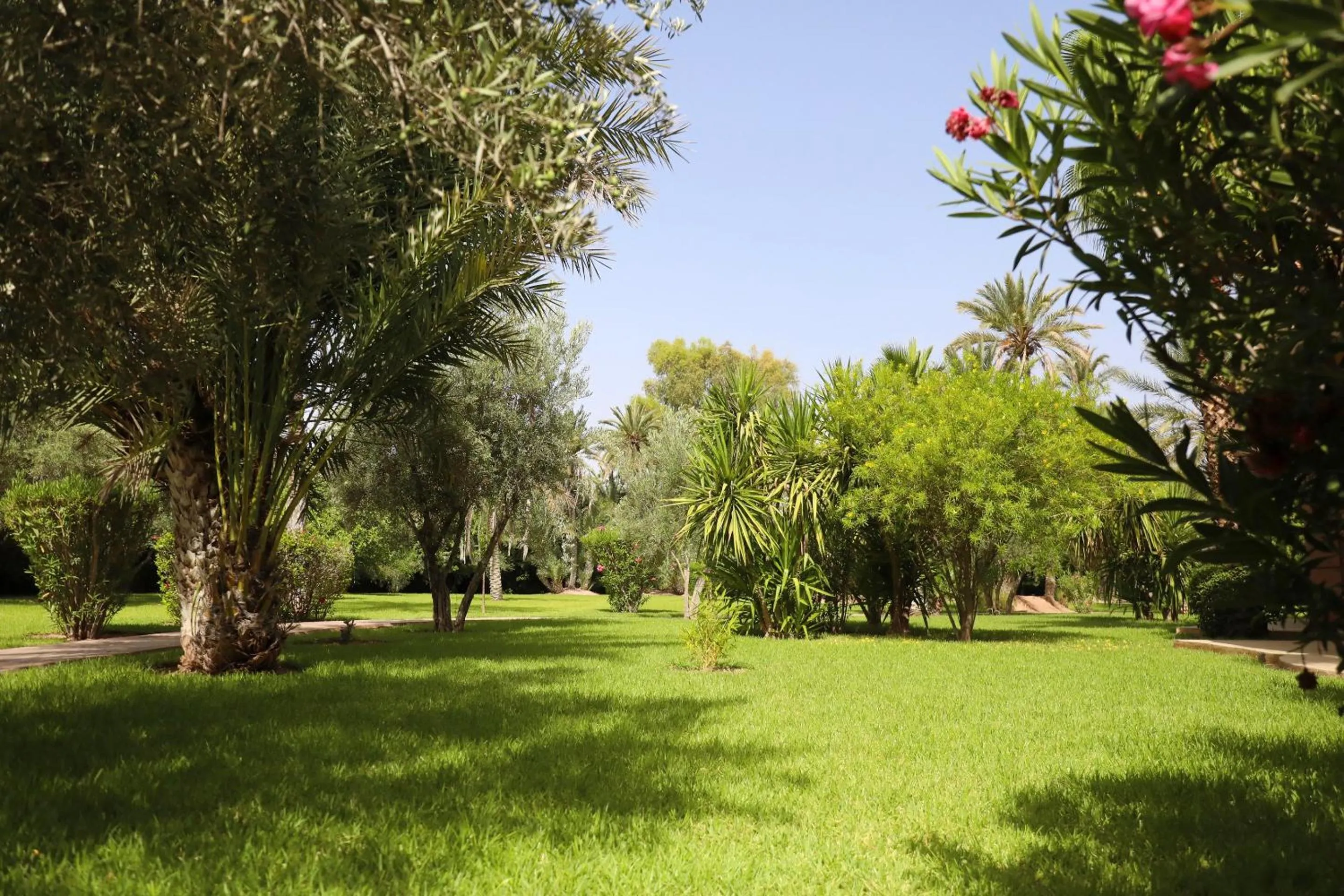 Garden in Villa Al Assala Palmeraie