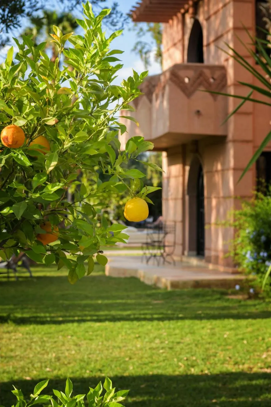 Day in Villa Al Assala Palmeraie