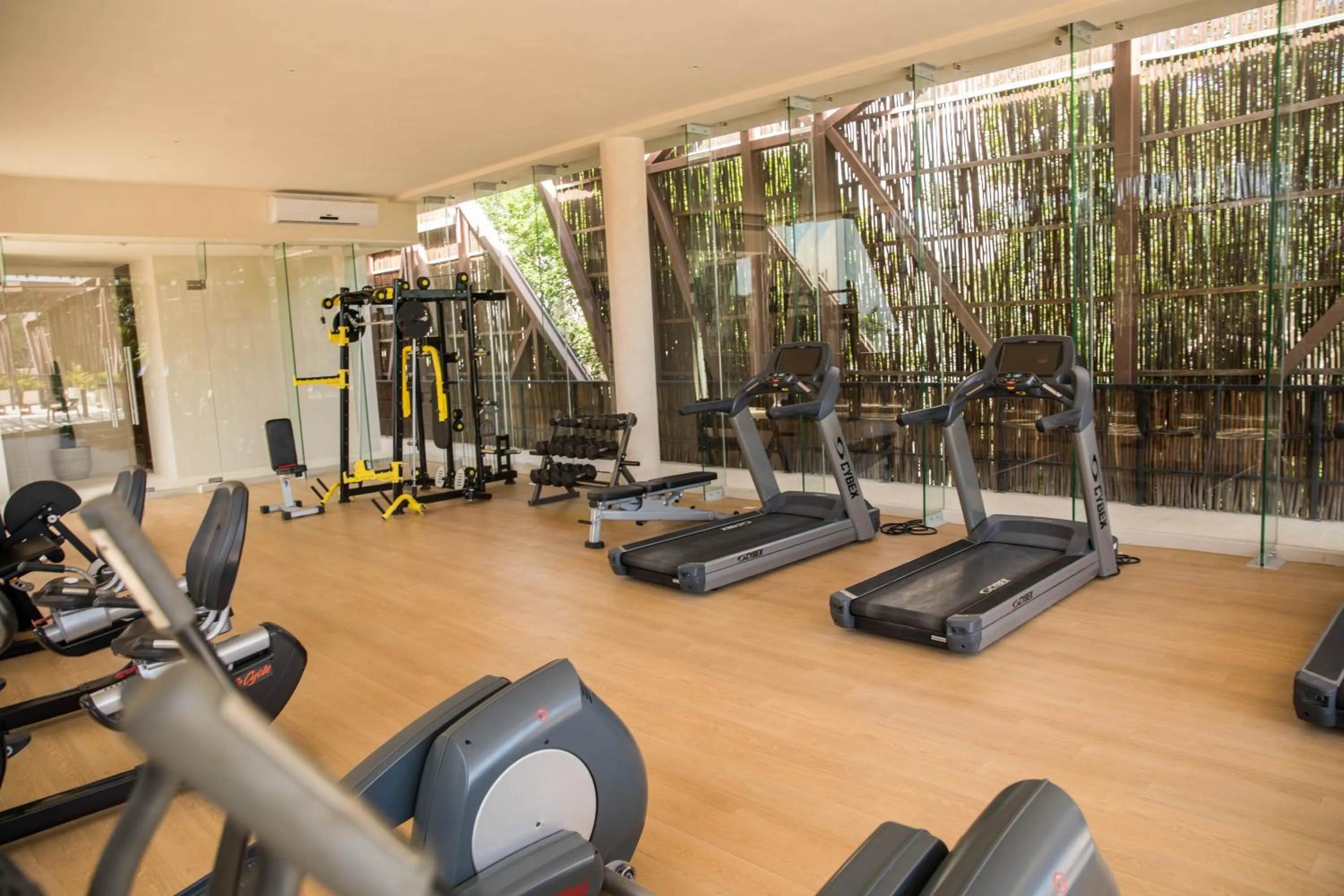 Fitness centre/facilities in Ophelia Experience
