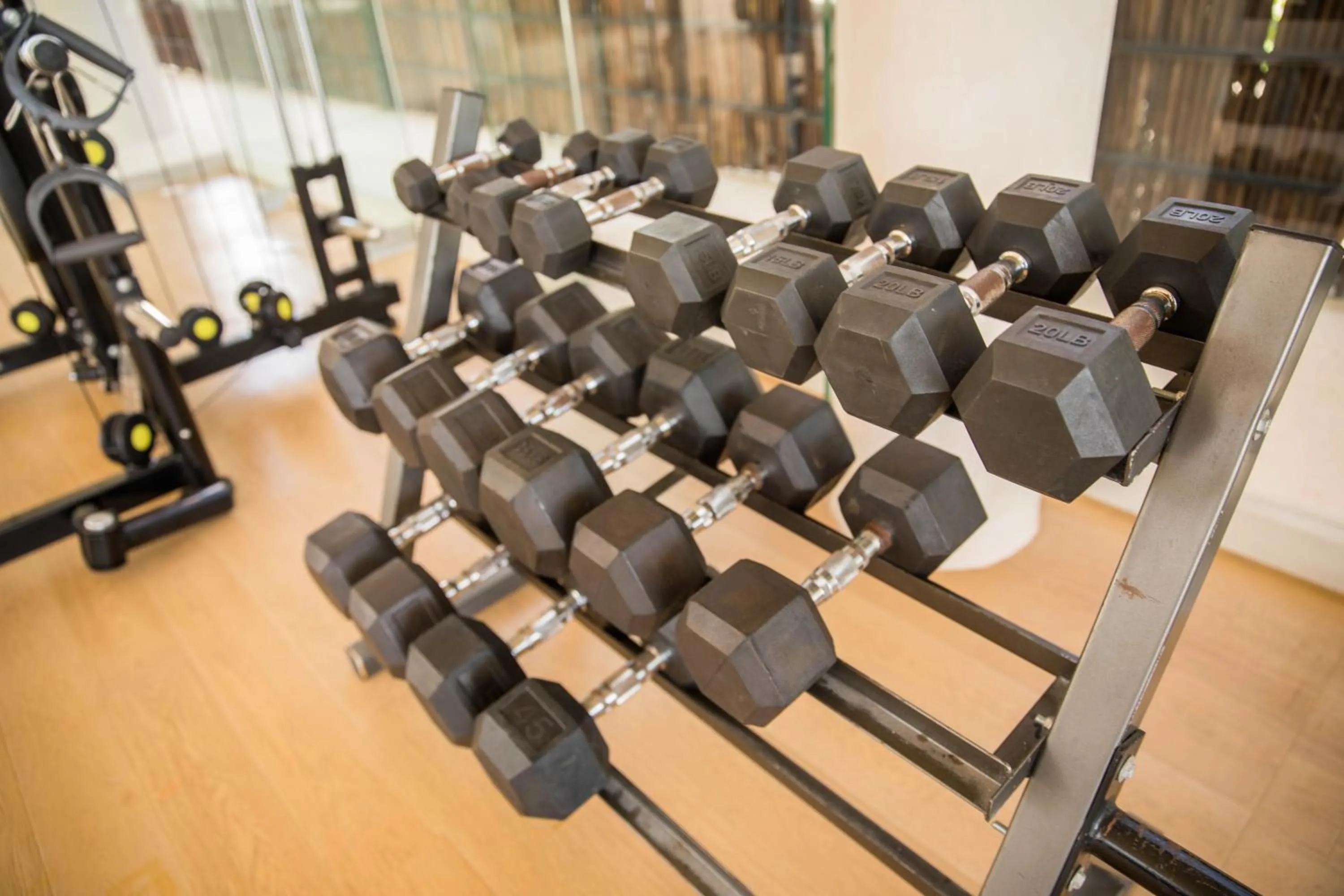 Fitness centre/facilities in Ophelia Experience