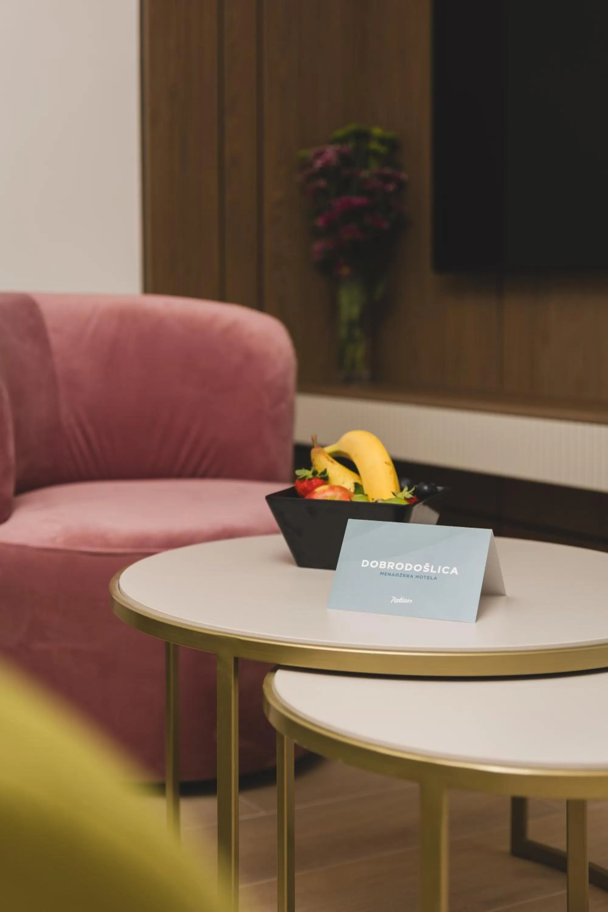 Living room in Radisson Resort Ruza Vjetrova