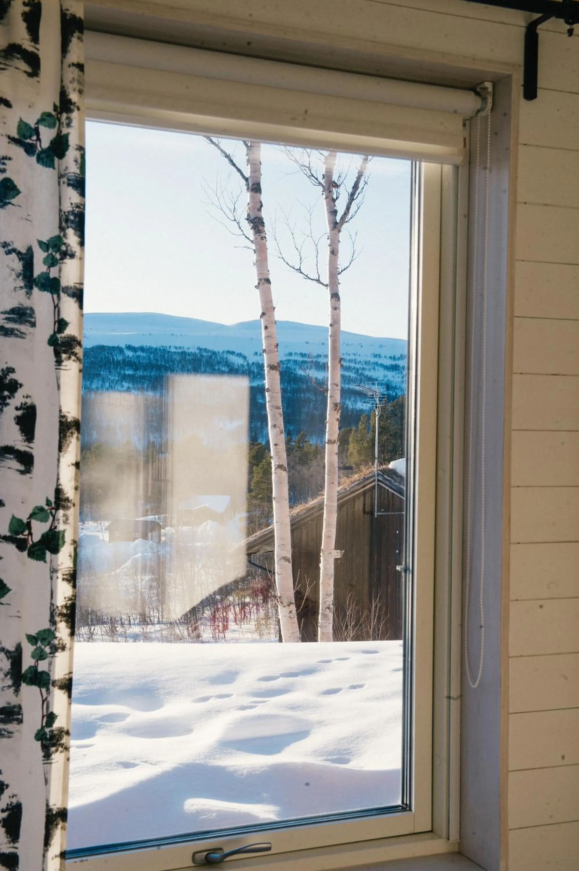 Mountain view in Fjällfrid stugby