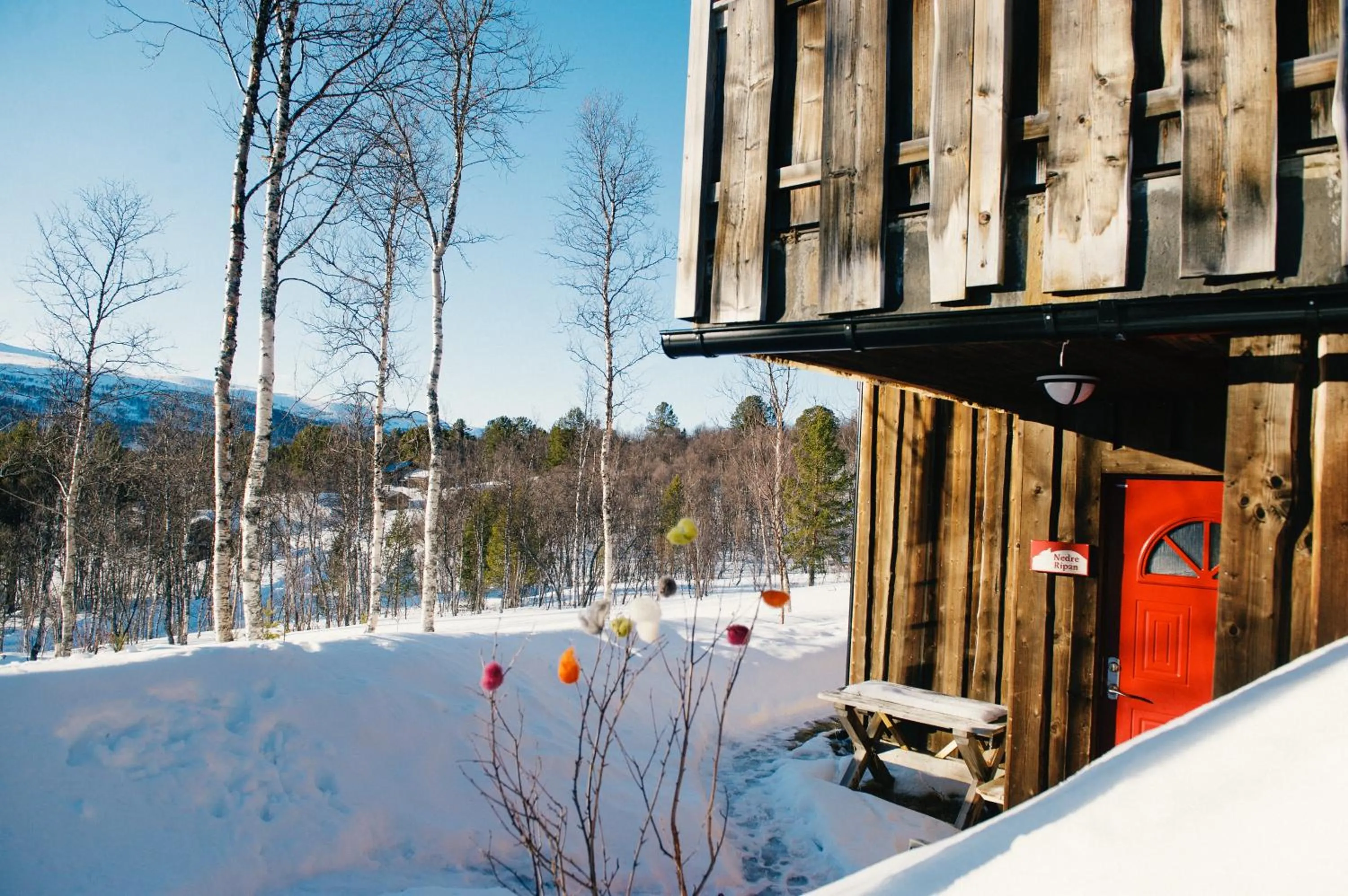 Natural landscape in Fjällfrid stugby