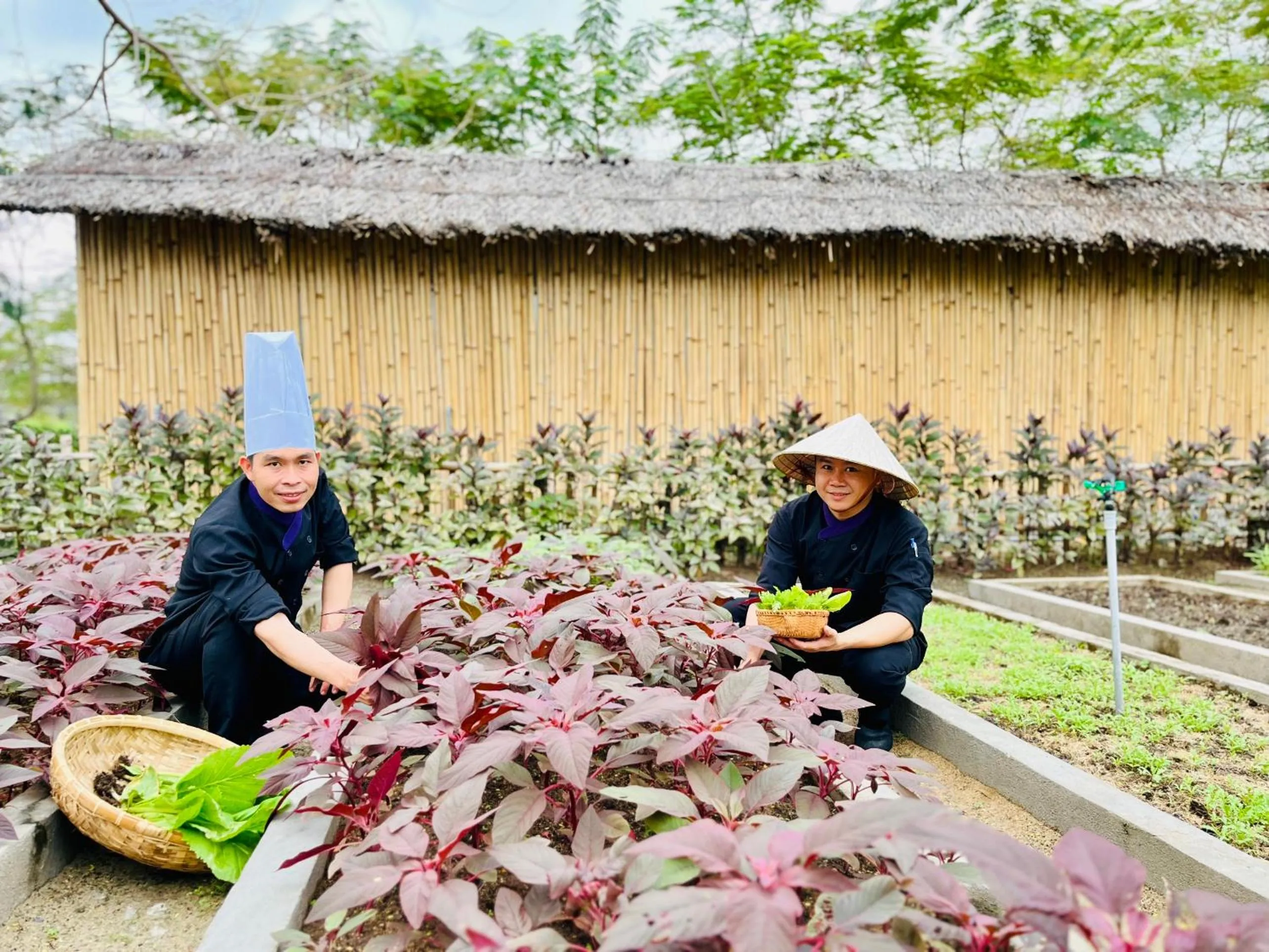 People in TTC Van Phong Bay Resort - Himalaya Sauna & Steam Retreat Included