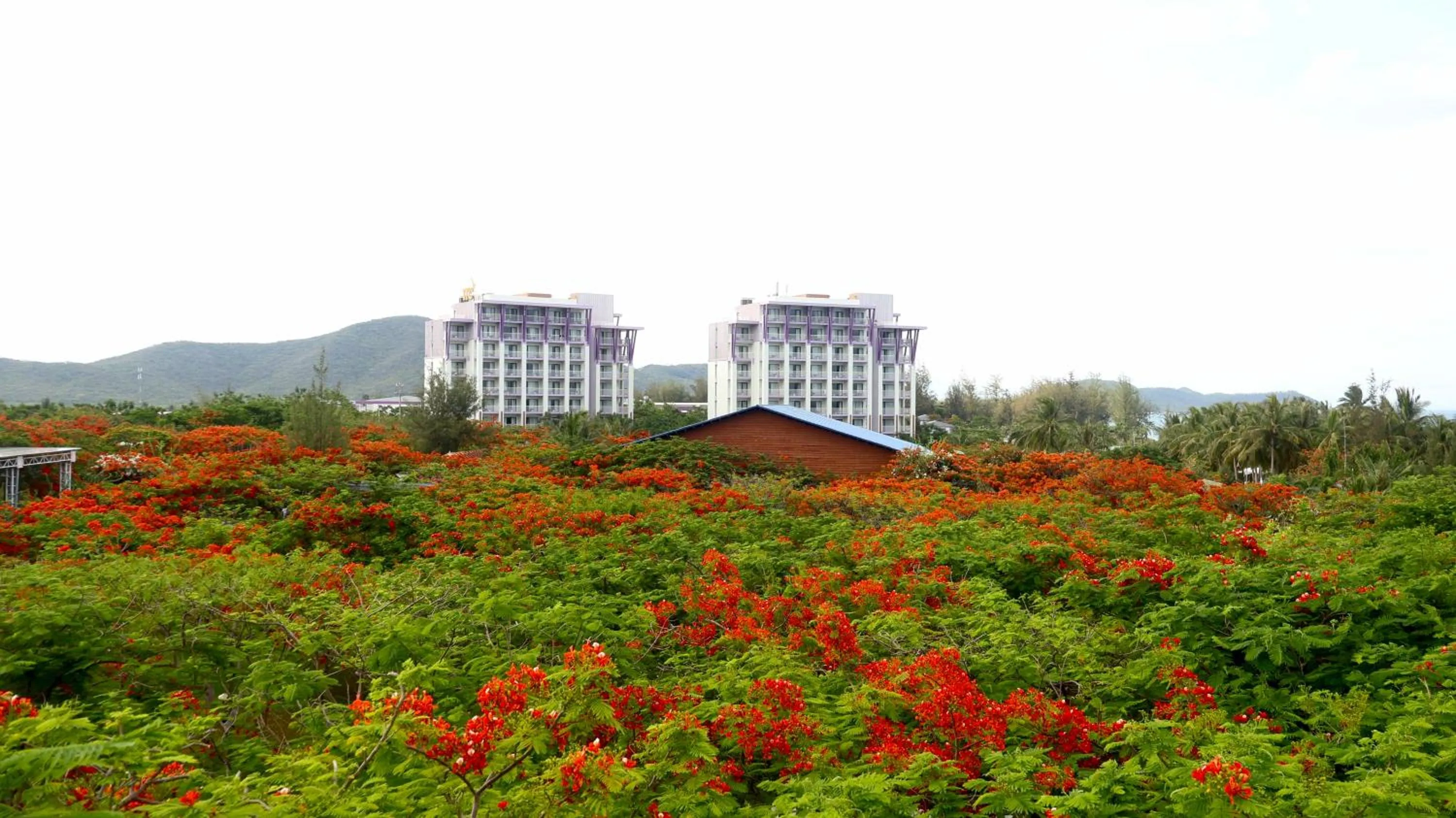 Property building in TTC Van Phong Bay Resort - Himalaya Sauna & Steam Retreat Included