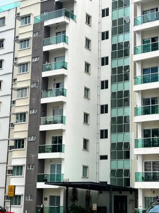 Lily King (modern and comfy)