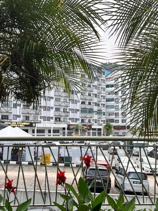 Lily King (modern and comfy)