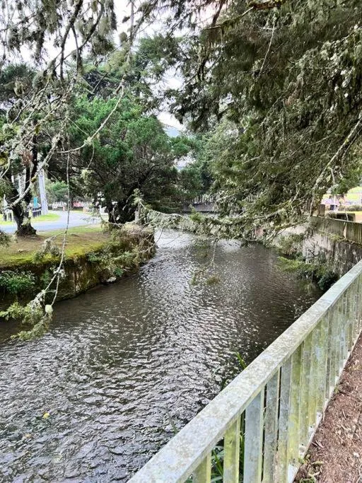 Lily King (modern and comfy)