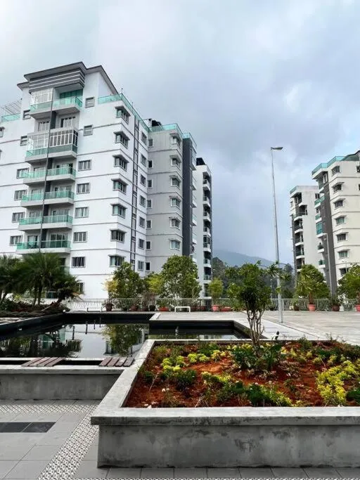 Lily King (modern and comfy)