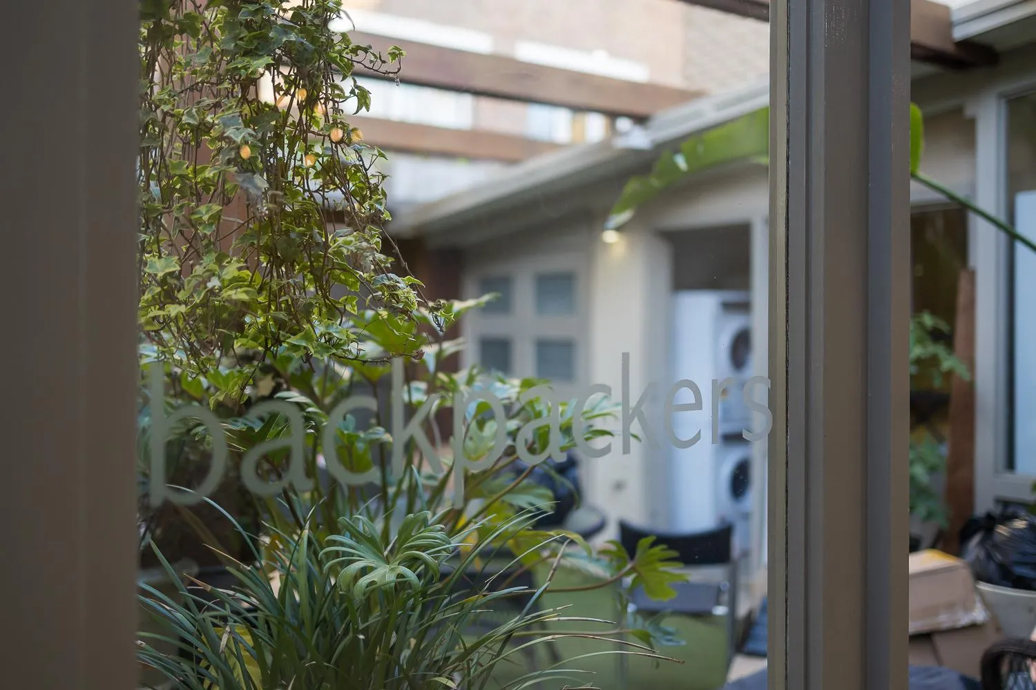 Garden in London Plane Backpackers