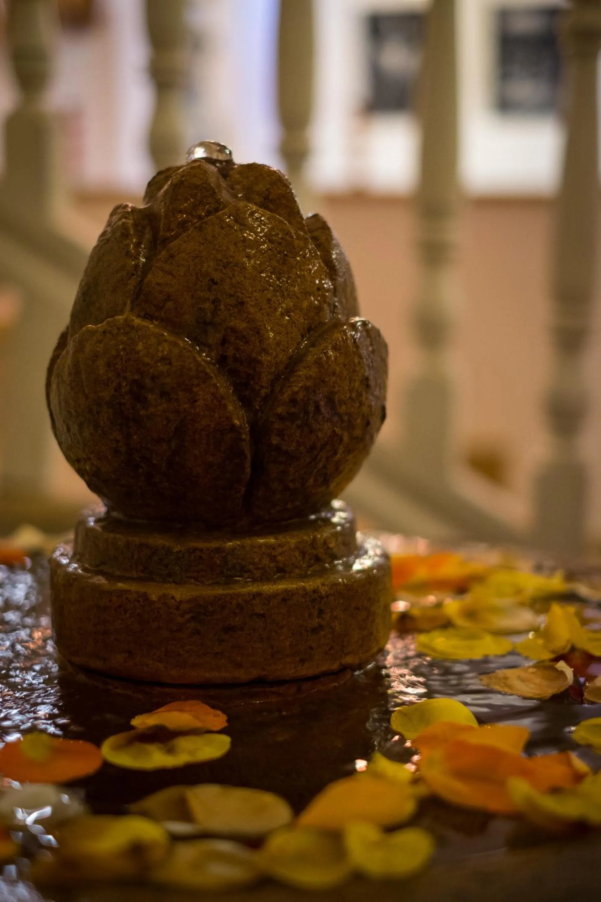 Lobby or reception in Riad Inna & Watersports Center