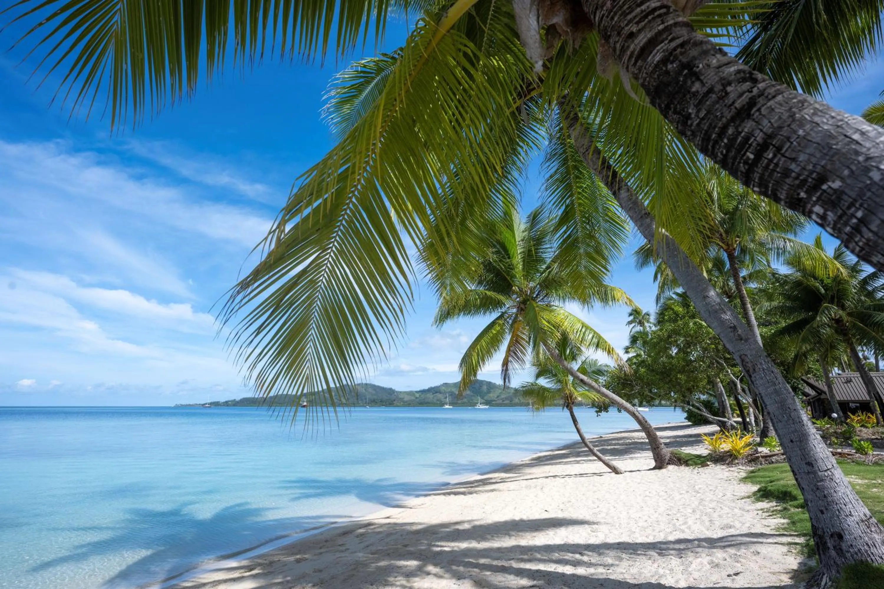 Beach in Plantation Island Resort