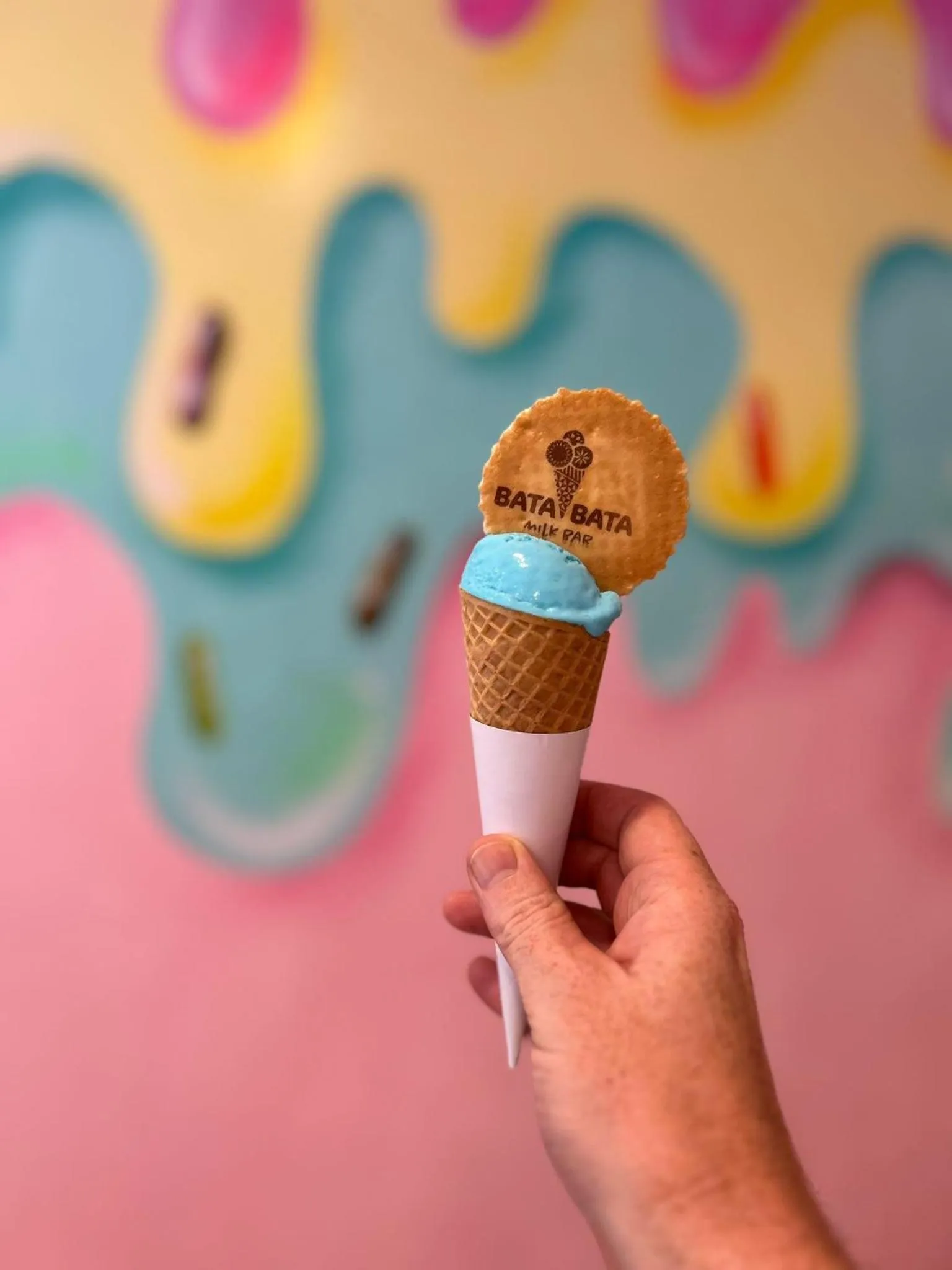 Area and facilities in Plantation Island Resort