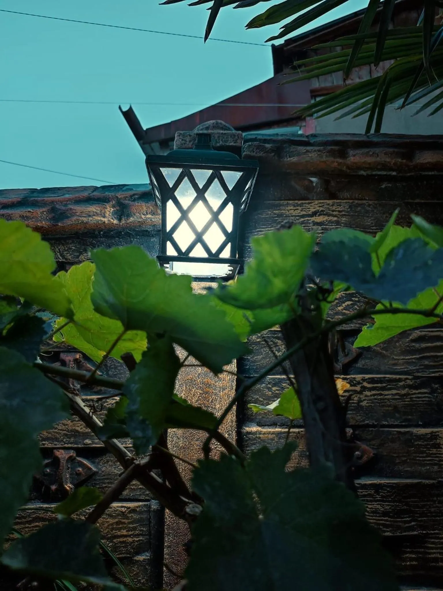 Garden in Queen Tamar