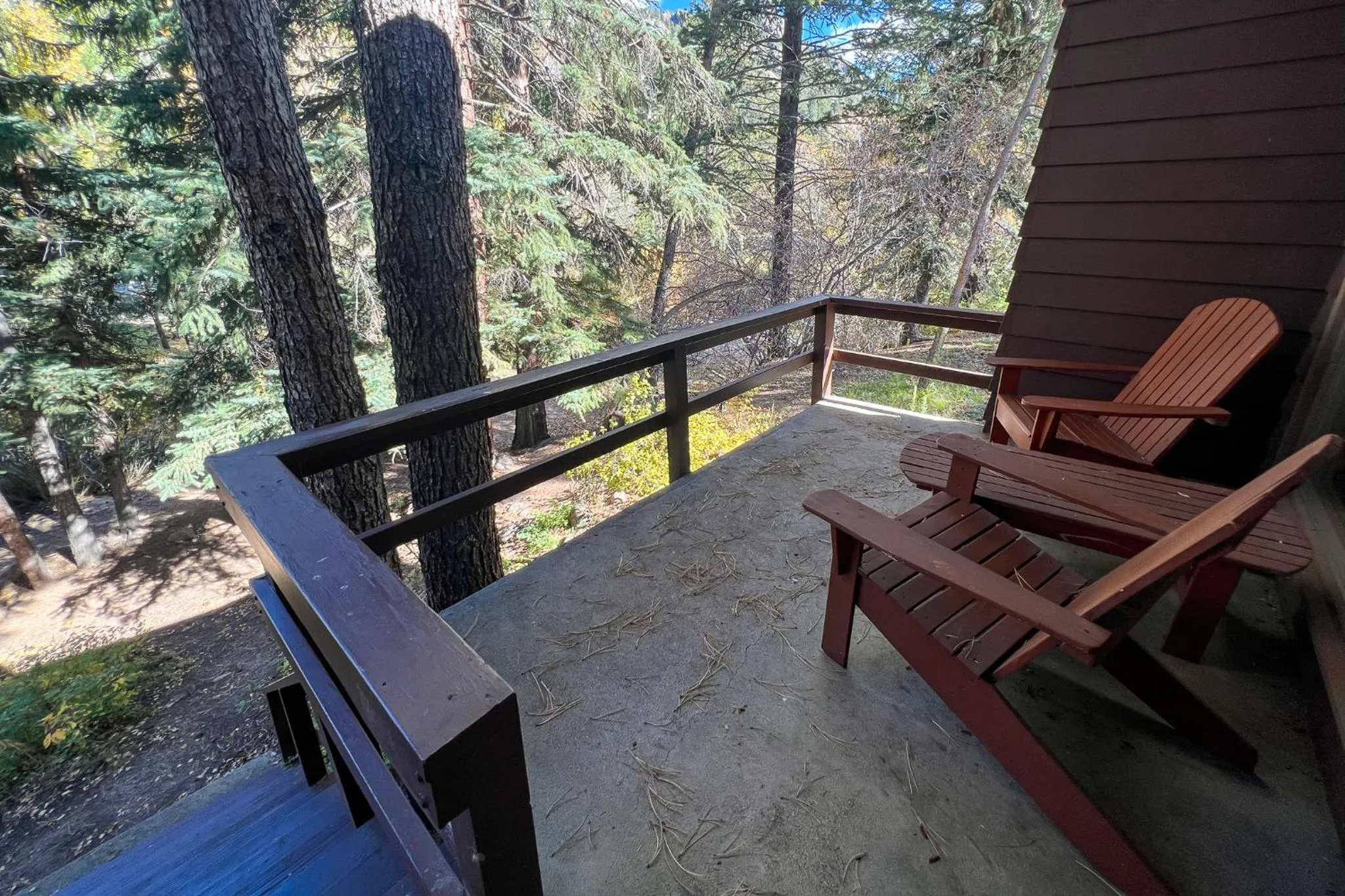 Balcony/Terrace in Castle Mountain Lodge
