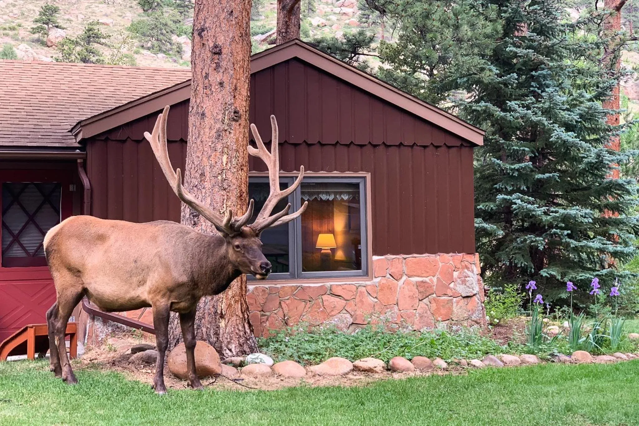 Property building in Castle Mountain Lodge