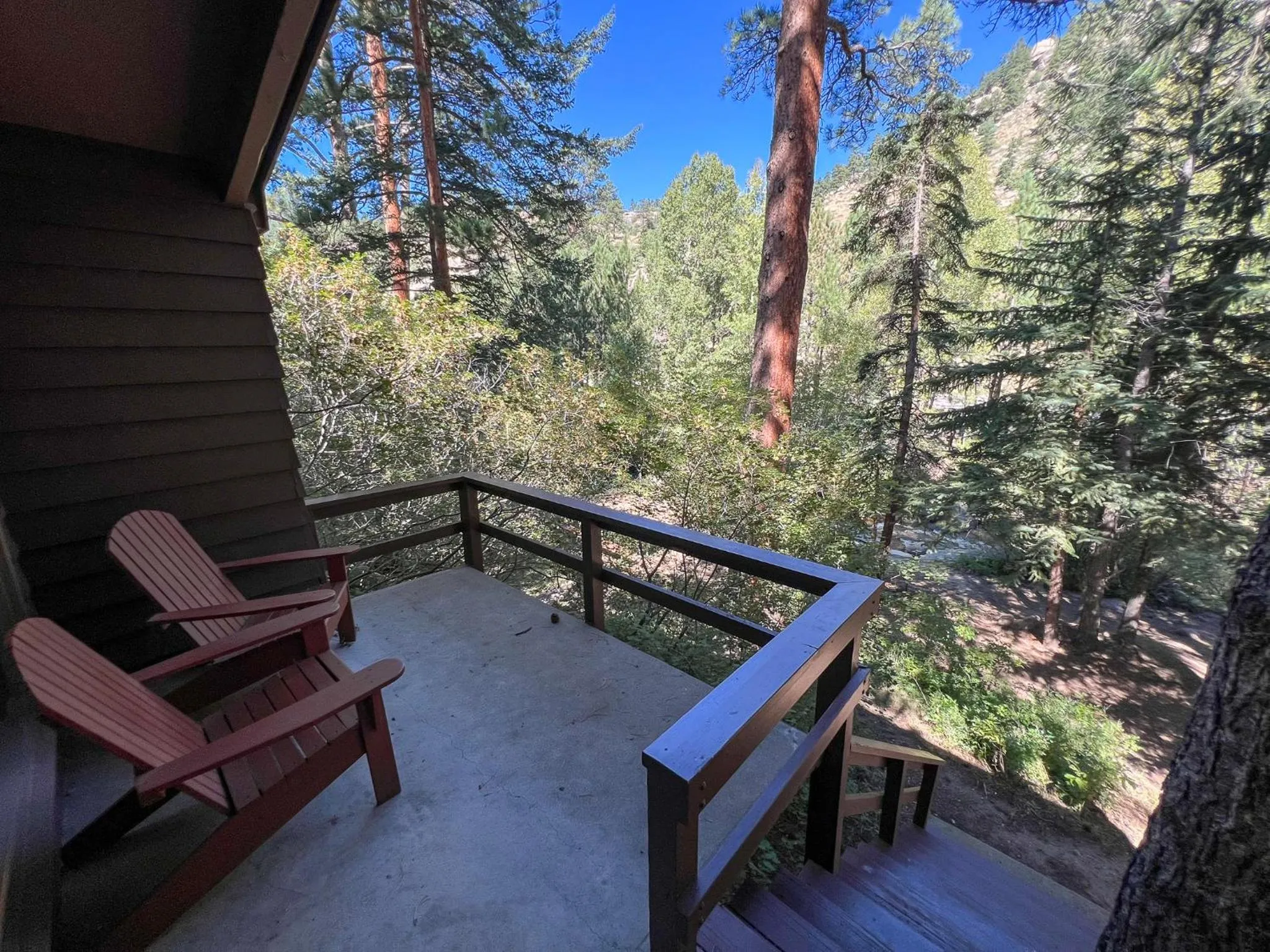 Balcony/Terrace in Castle Mountain Lodge